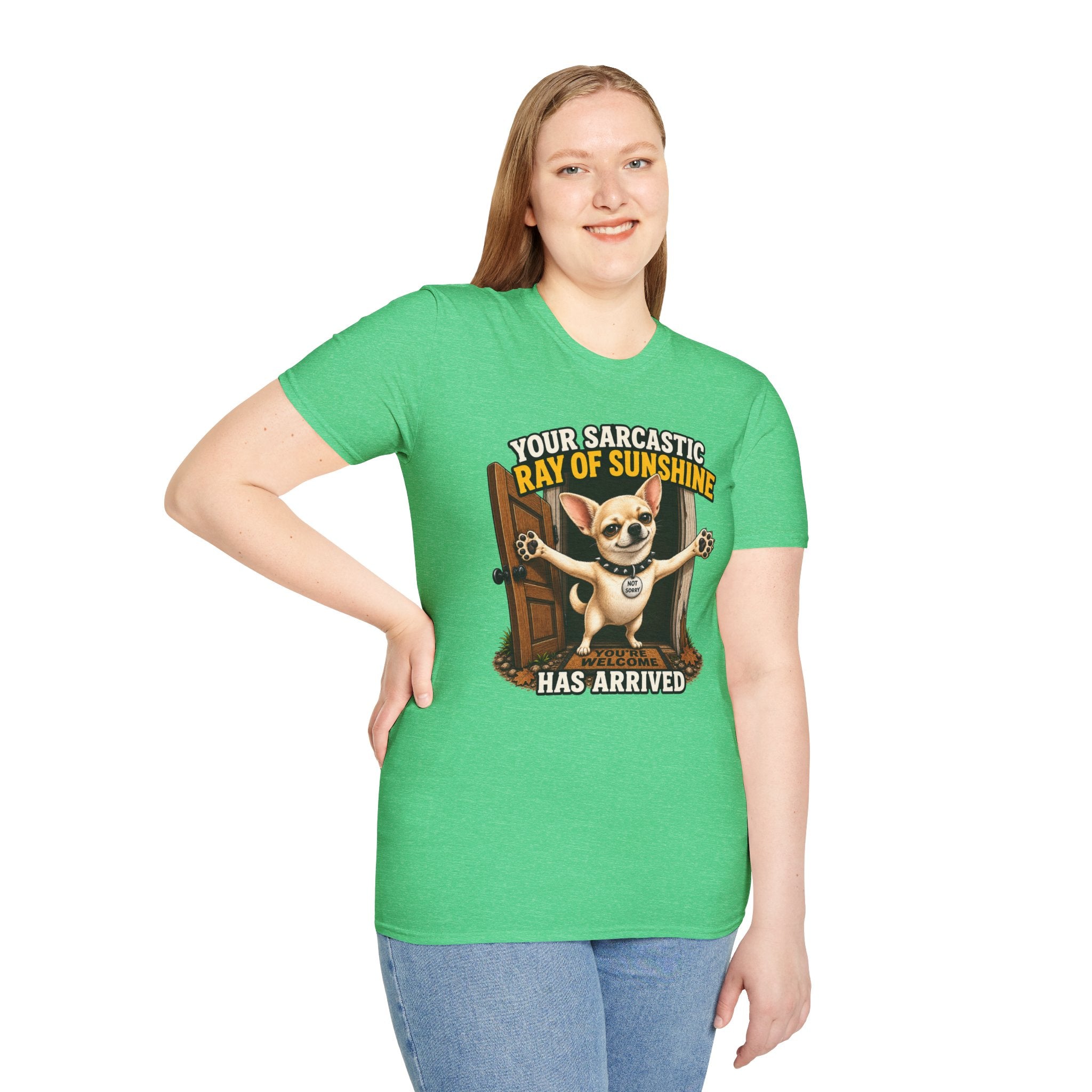 Sarcastic Ray of Sunshine T-Shirt