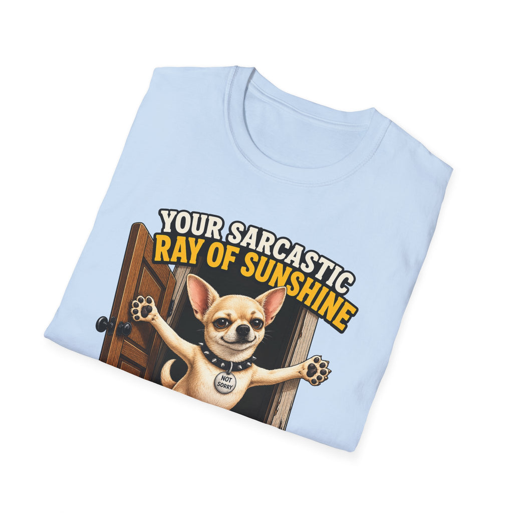 Sarcastic Ray of Sunshine T-Shirt