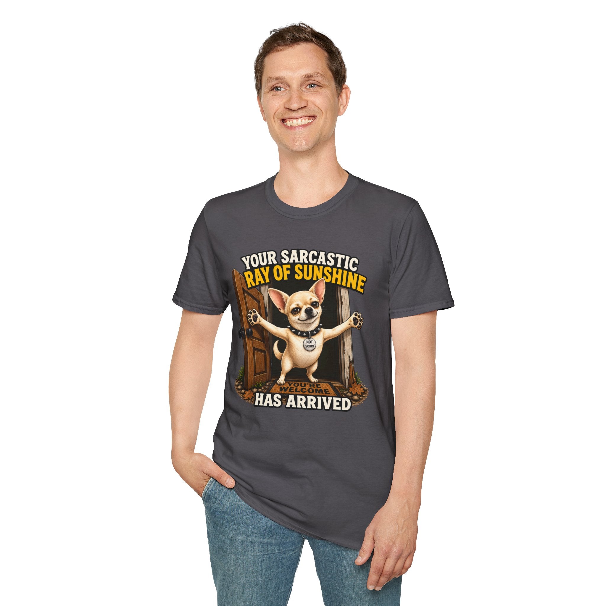 Sarcastic Ray of Sunshine T-Shirt