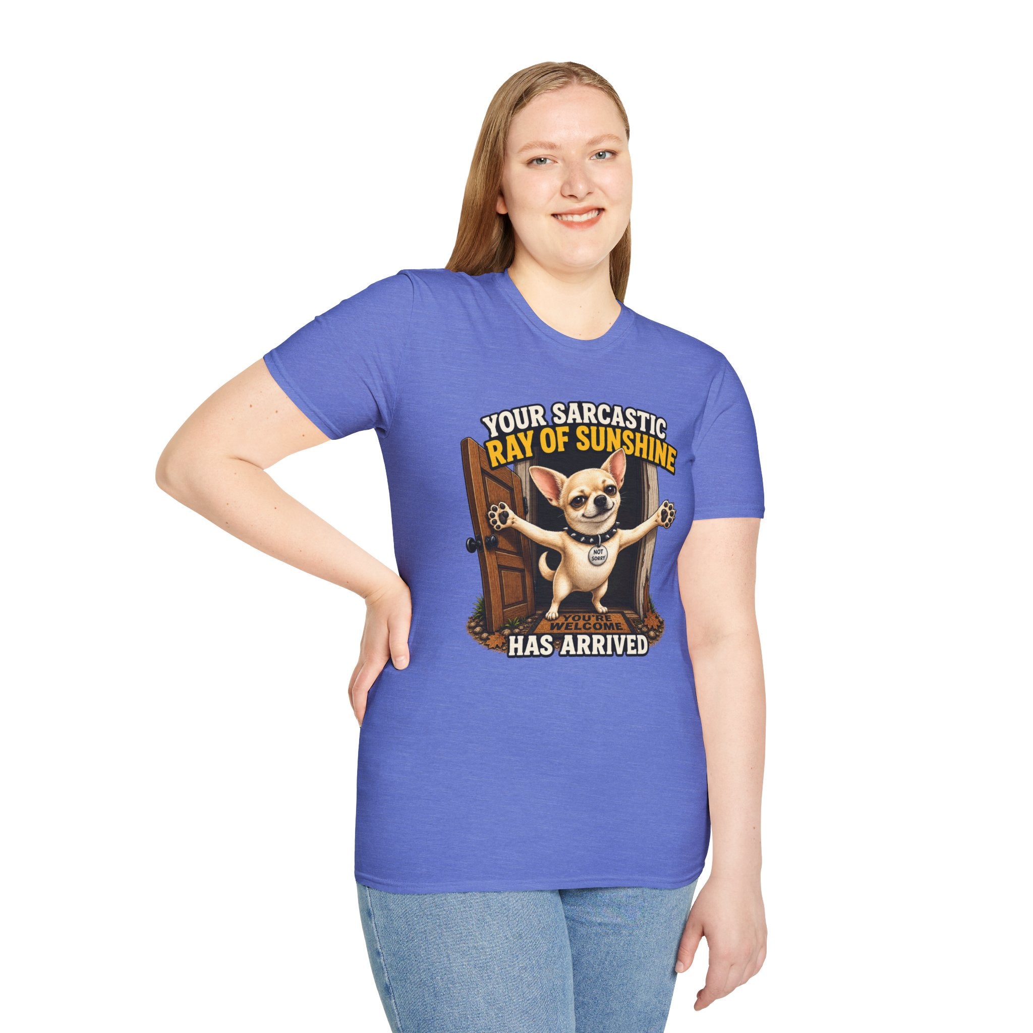 Sarcastic Ray of Sunshine T-Shirt