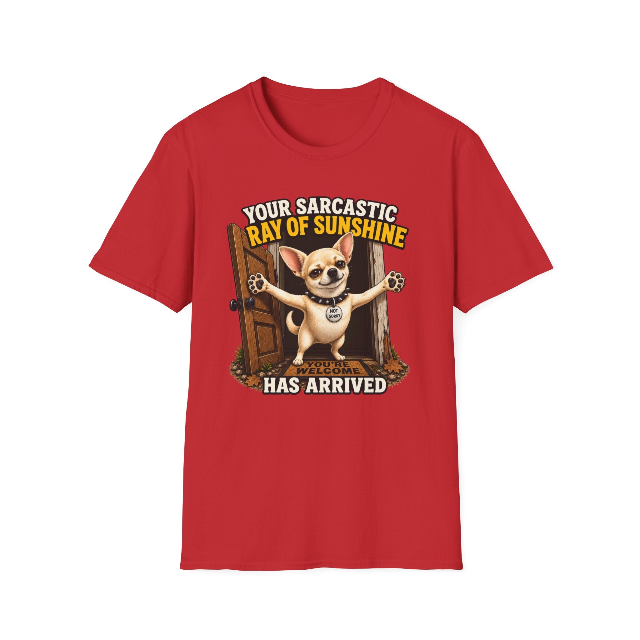 Sarcastic Ray of Sunshine T-Shirt