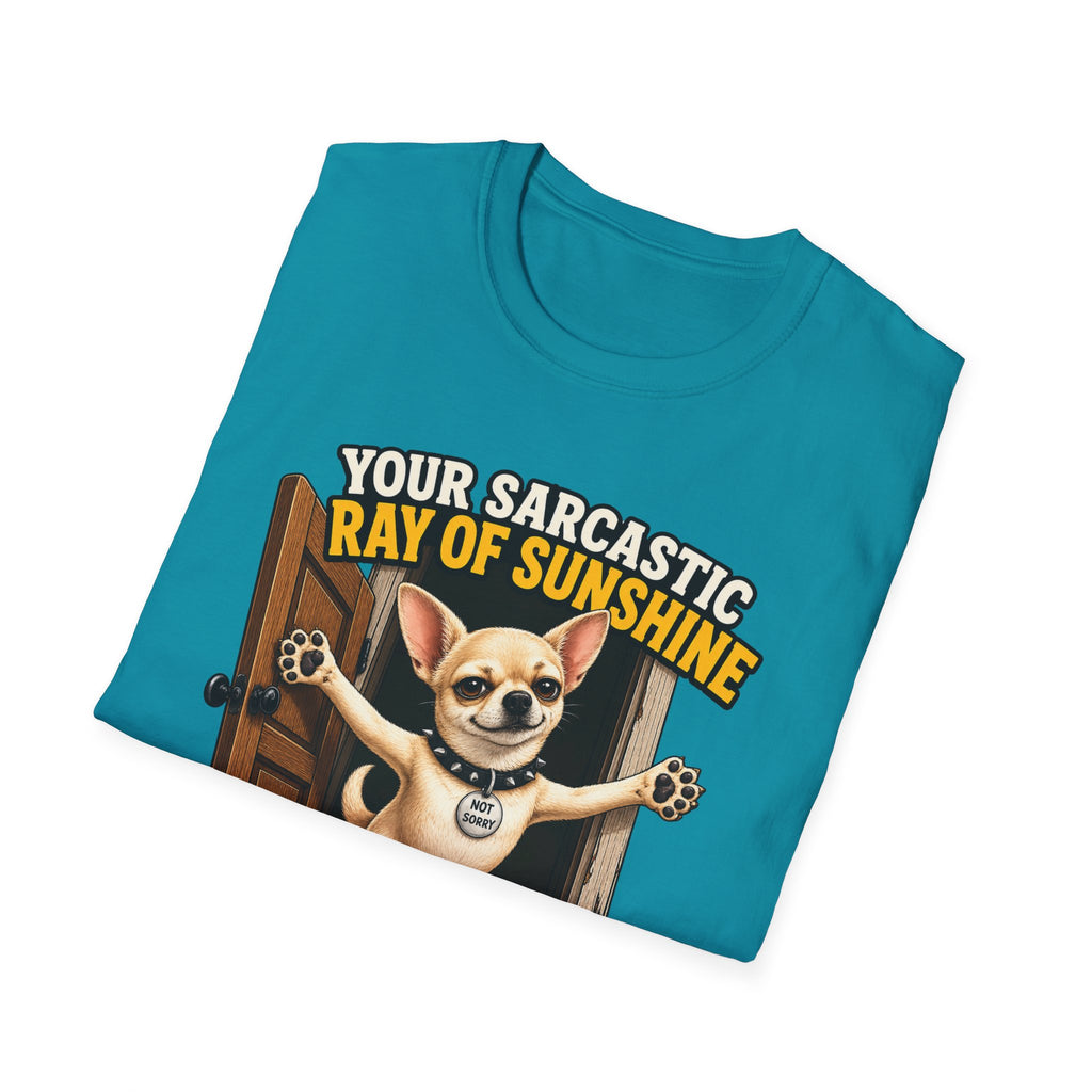 Sarcastic Ray of Sunshine T-Shirt