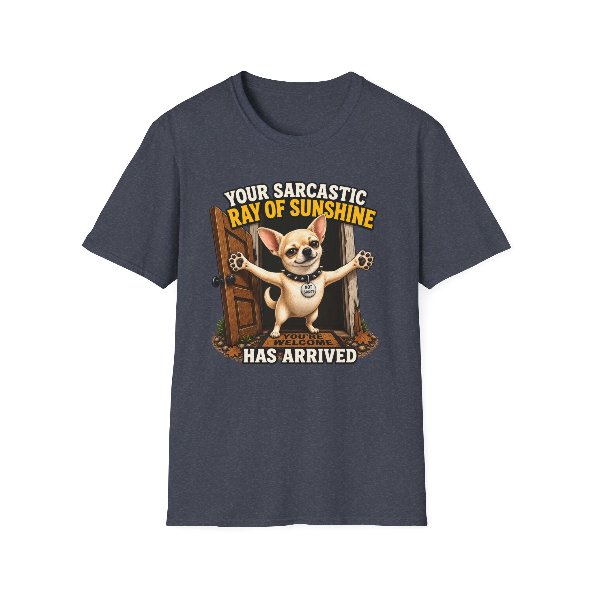 Sarcastic Ray of Sunshine T-Shirt