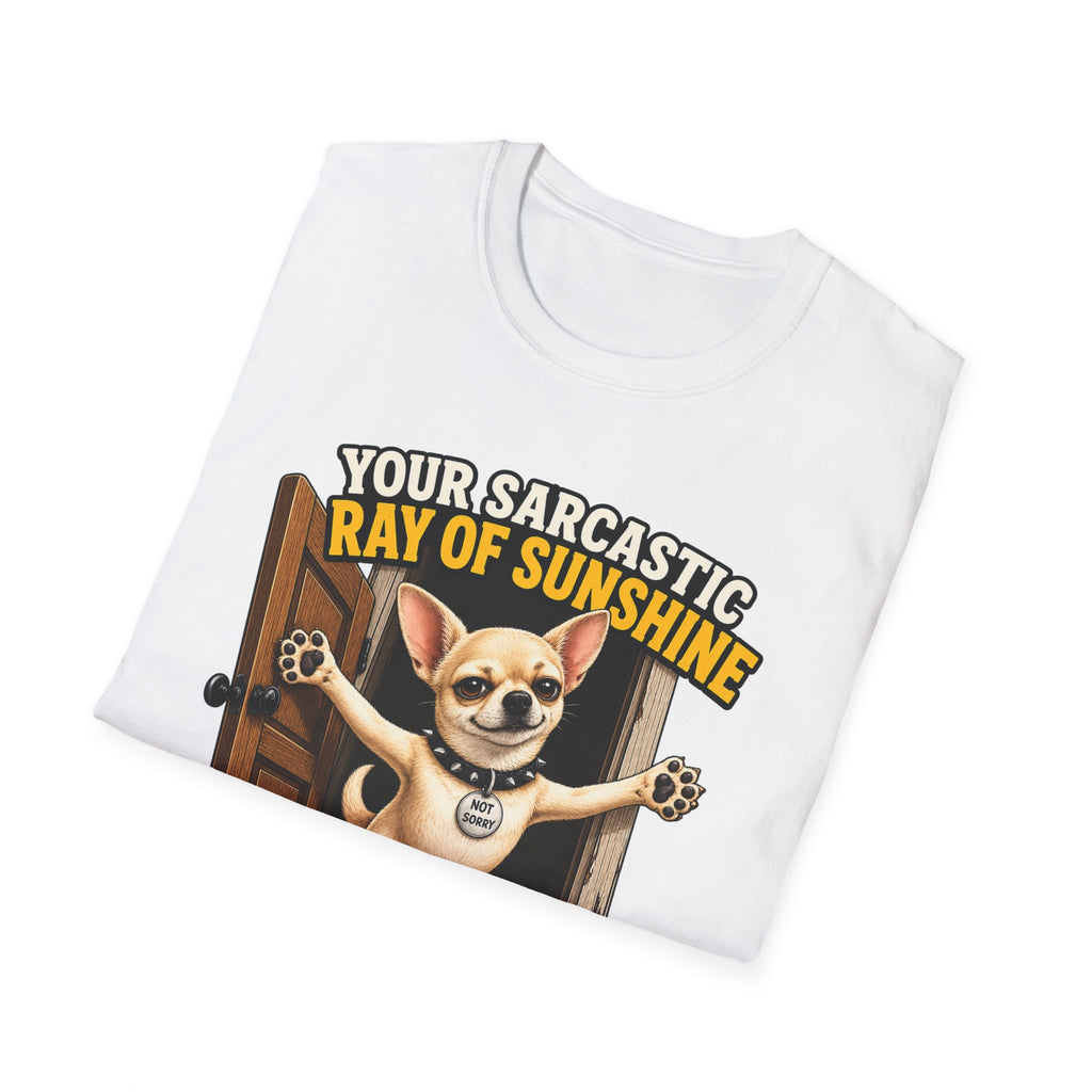 Sarcastic Ray of Sunshine T-Shirt