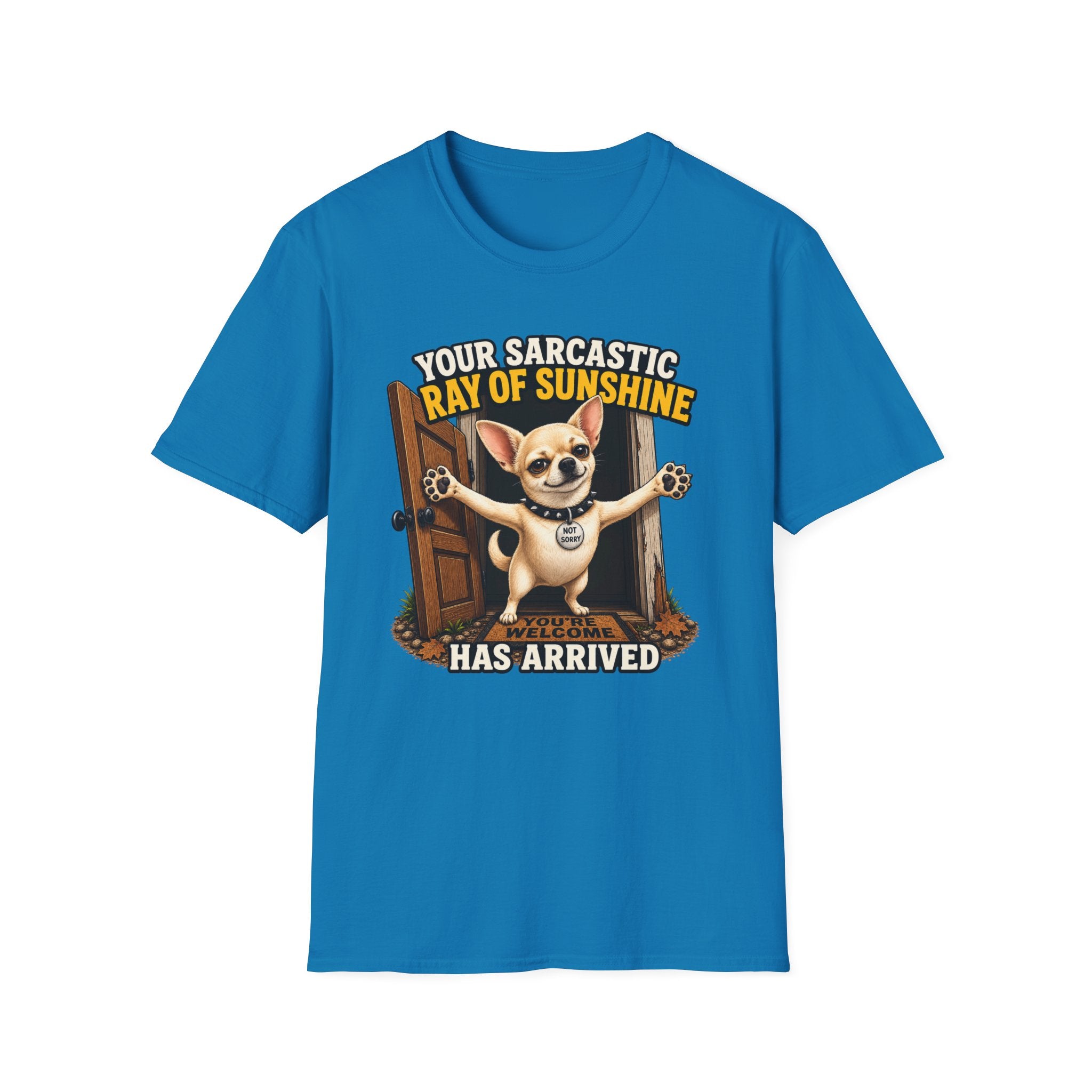 Sarcastic Ray of Sunshine T-Shirt