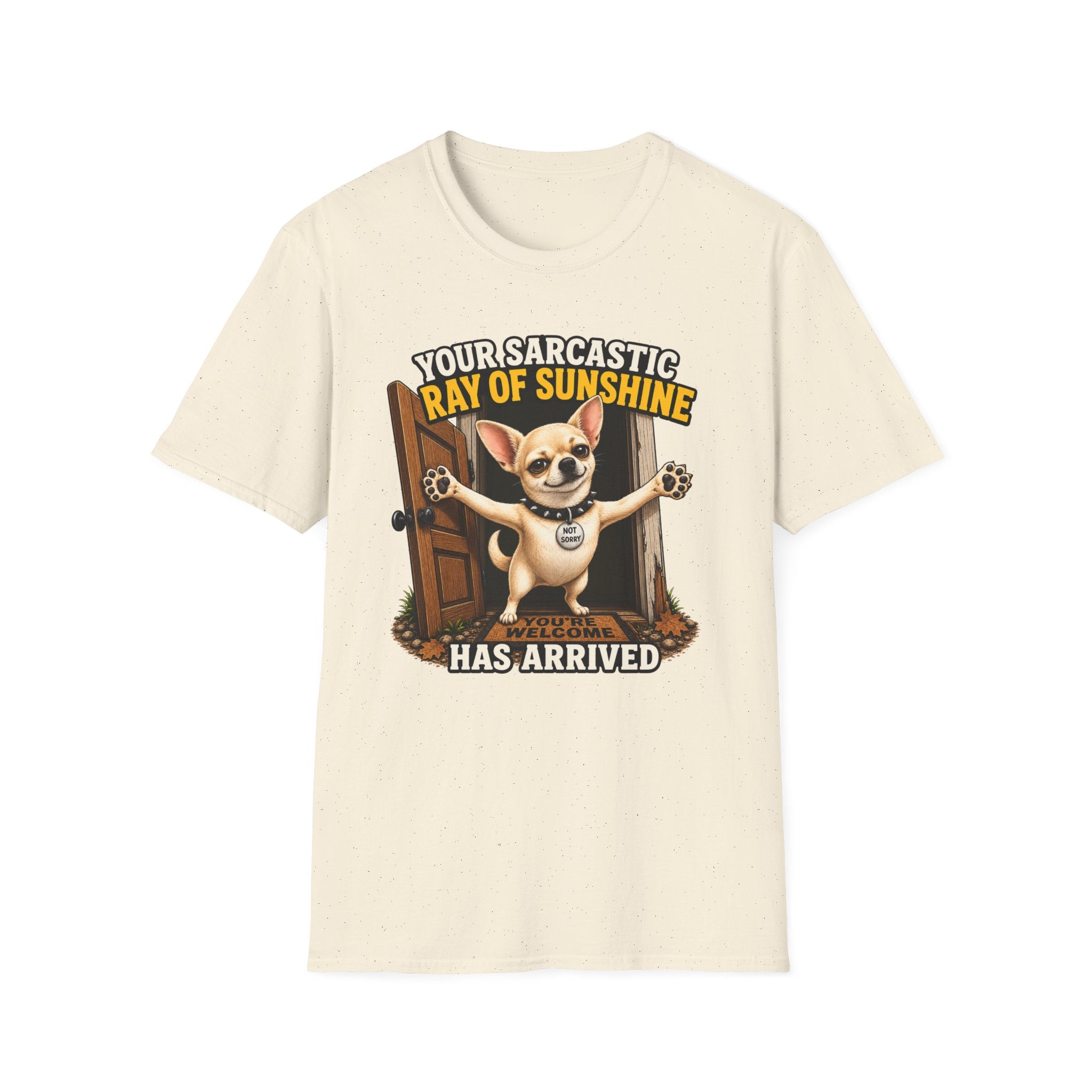 Sarcastic Ray of Sunshine T-Shirt