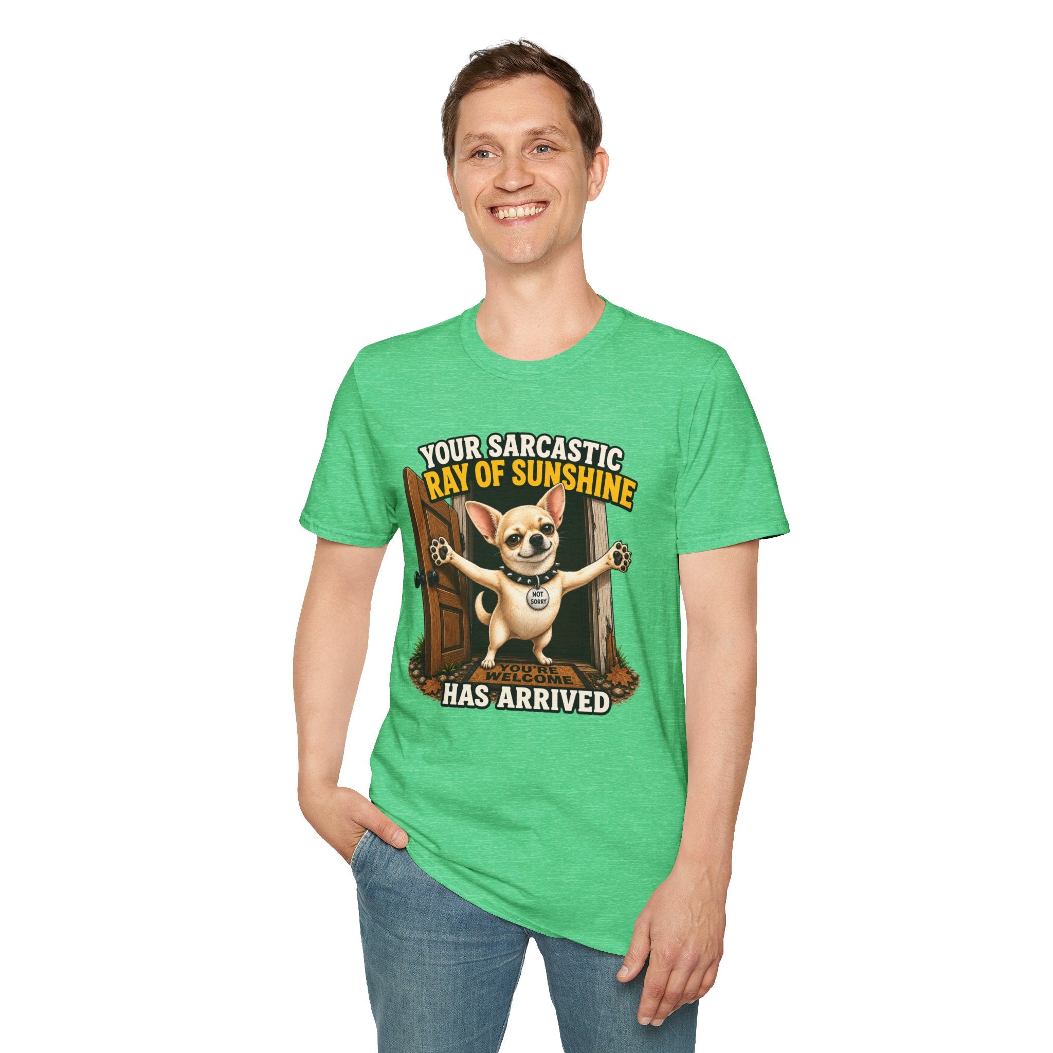 Sarcastic Ray of Sunshine T-Shirt