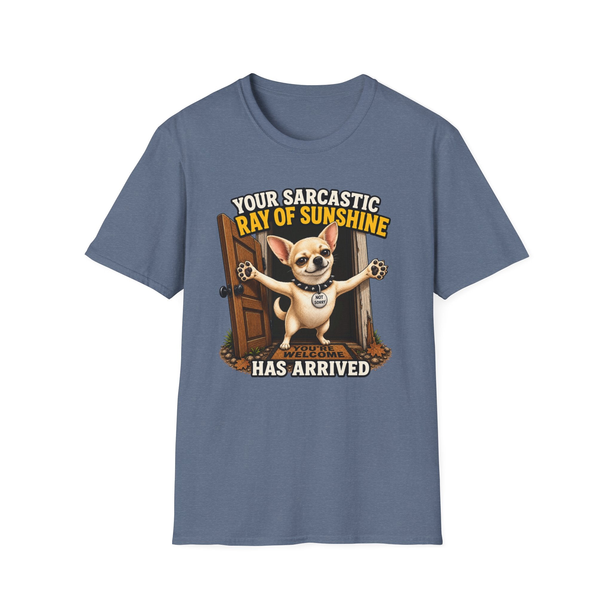 Sarcastic Ray of Sunshine T-Shirt