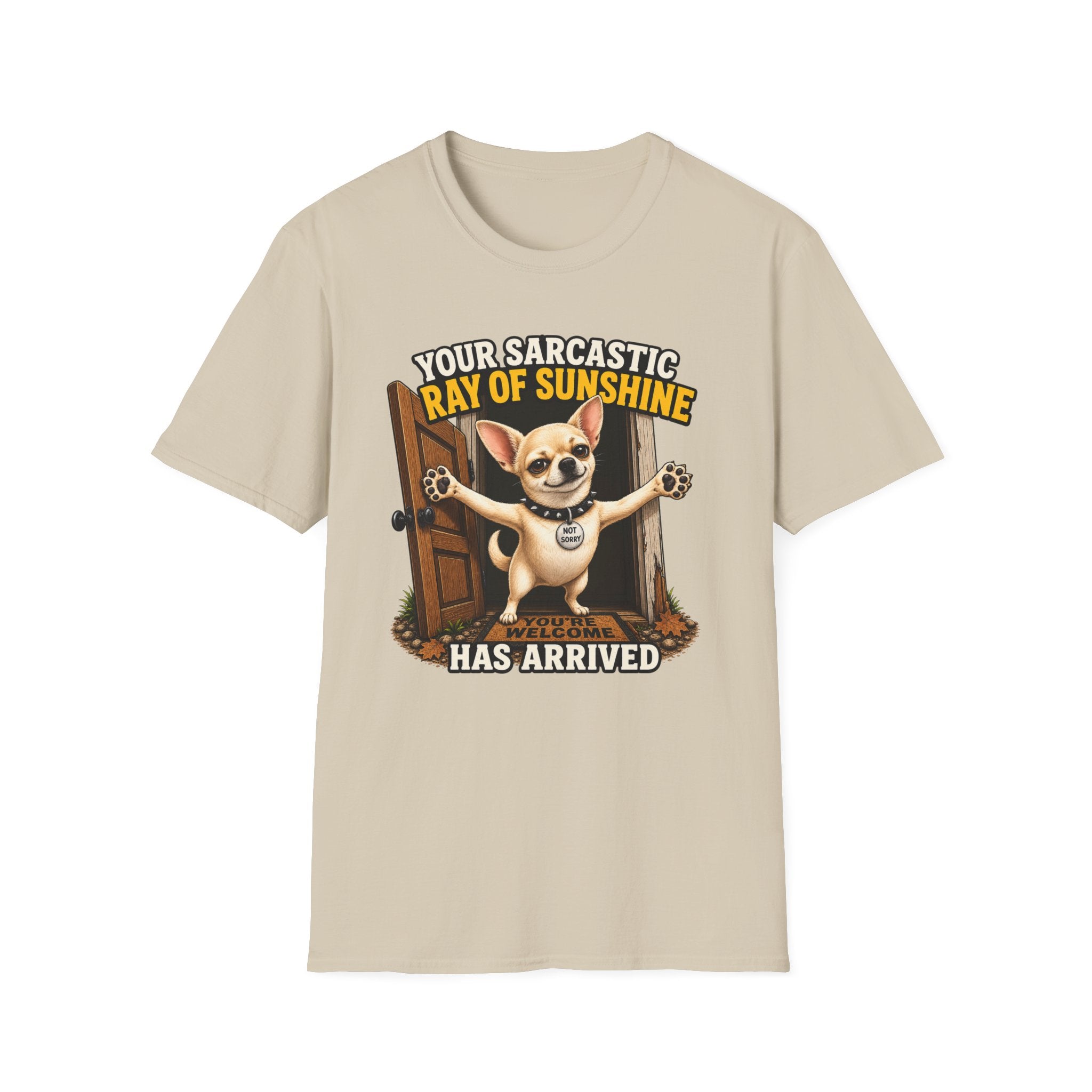 Sarcastic Ray of Sunshine T-Shirt