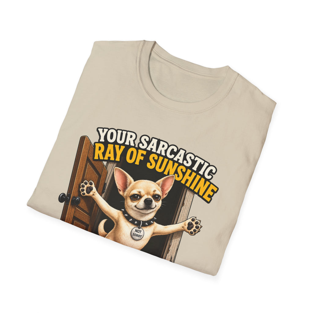 Sarcastic Ray of Sunshine T-Shirt