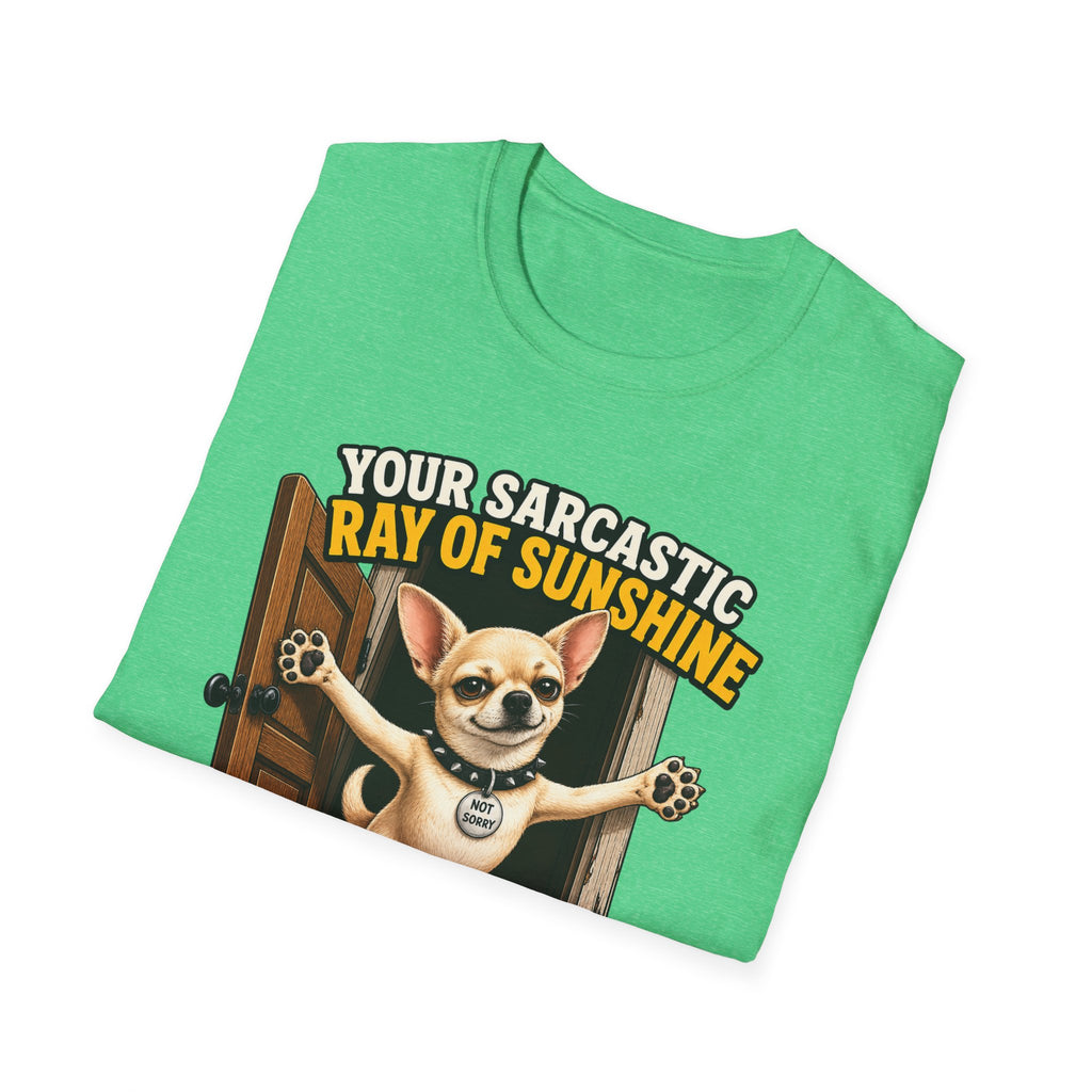 Sarcastic Ray of Sunshine T-Shirt