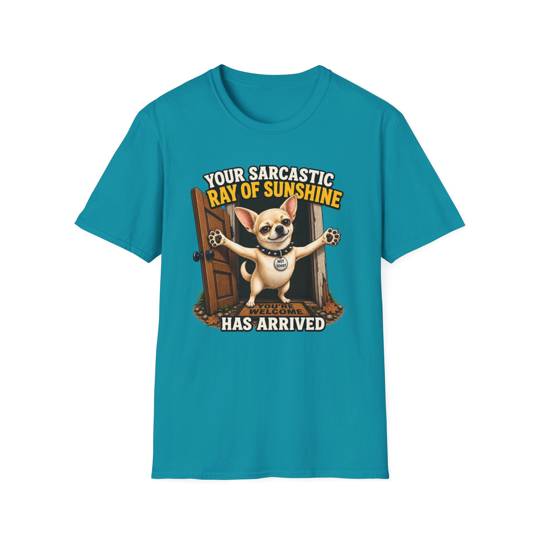 Sarcastic Ray of Sunshine T-Shirt