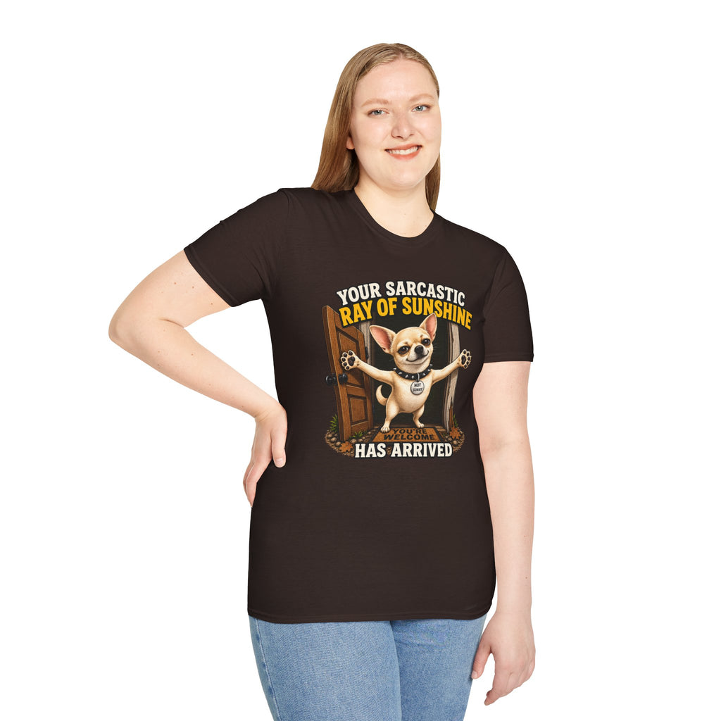 Sarcastic Ray of Sunshine T-Shirt