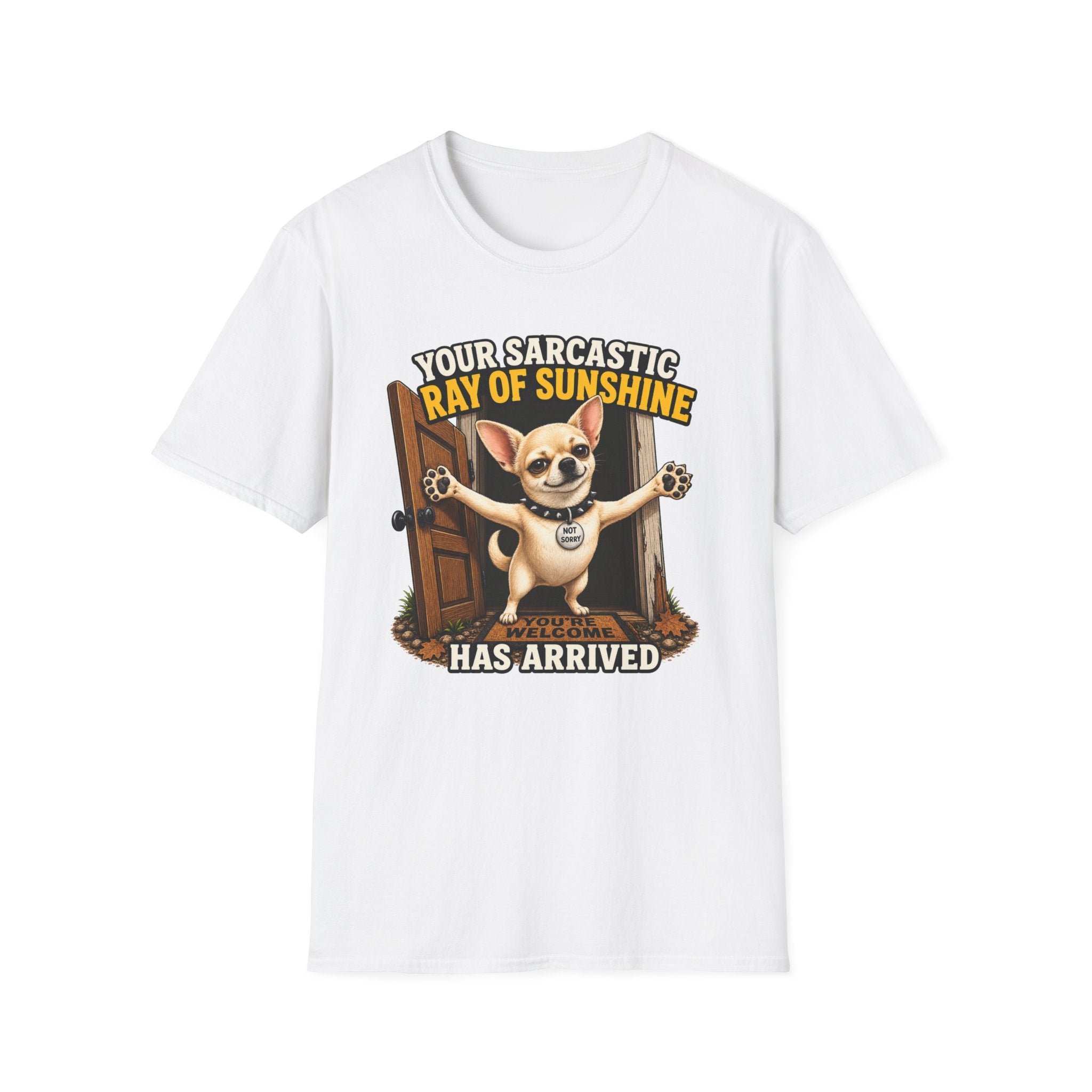 Sarcastic Ray of Sunshine T-Shirt