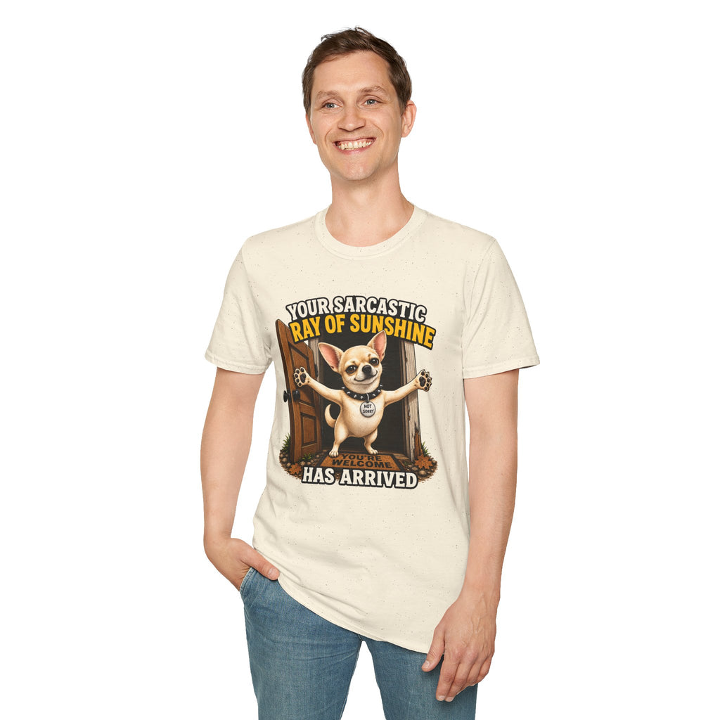 Sarcastic Ray of Sunshine T-Shirt
