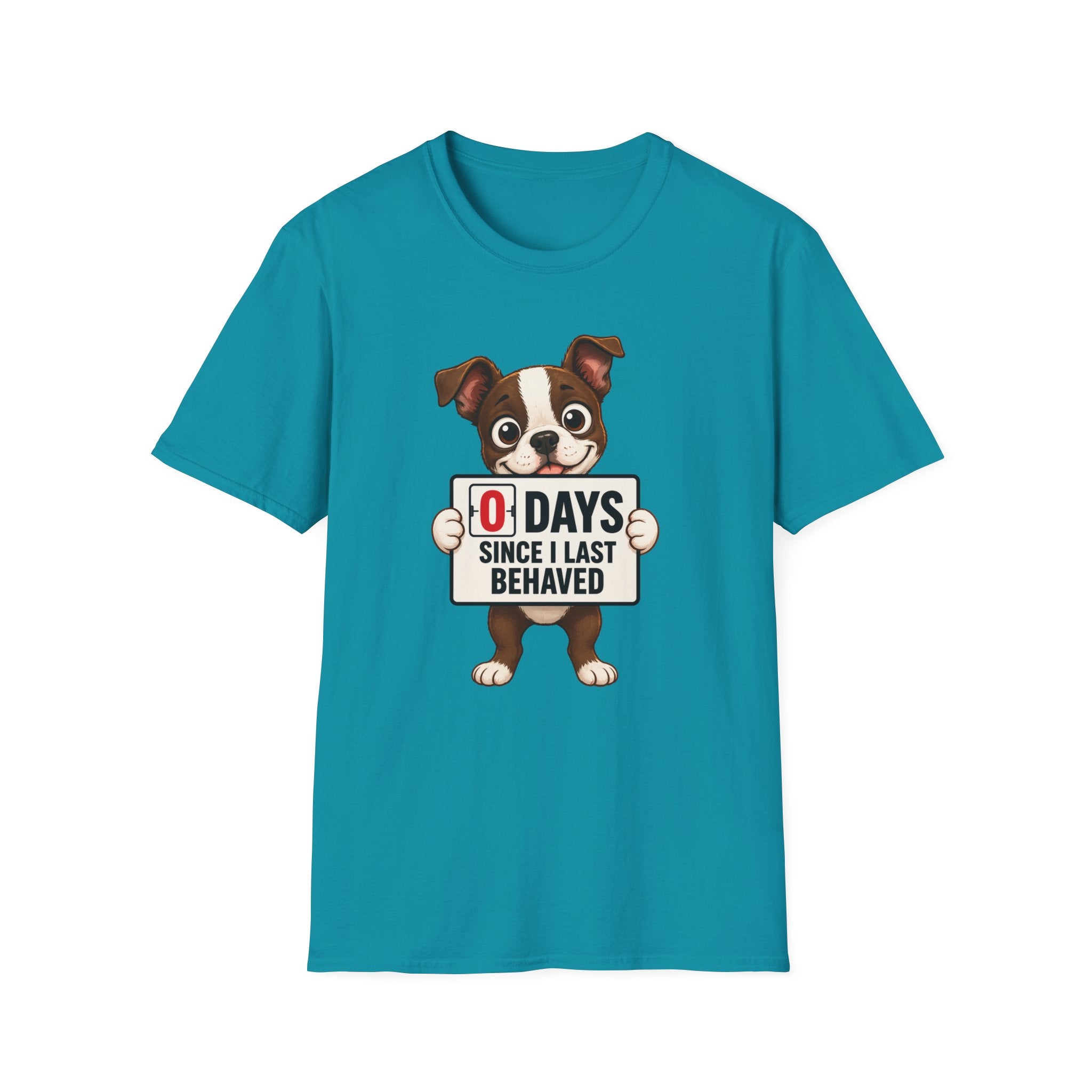 "0 Days Since I Last Behaved" T-Shirt