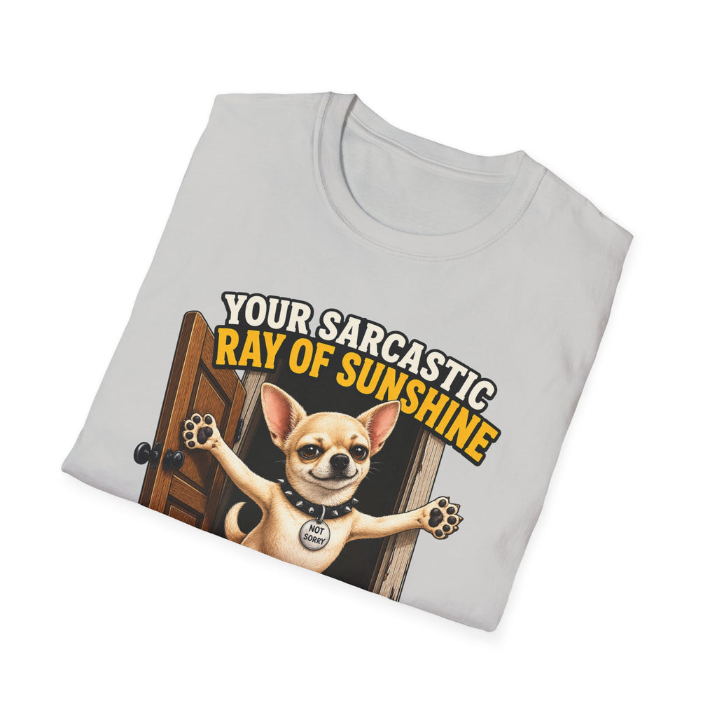 Sarcastic Ray of Sunshine T-Shirt