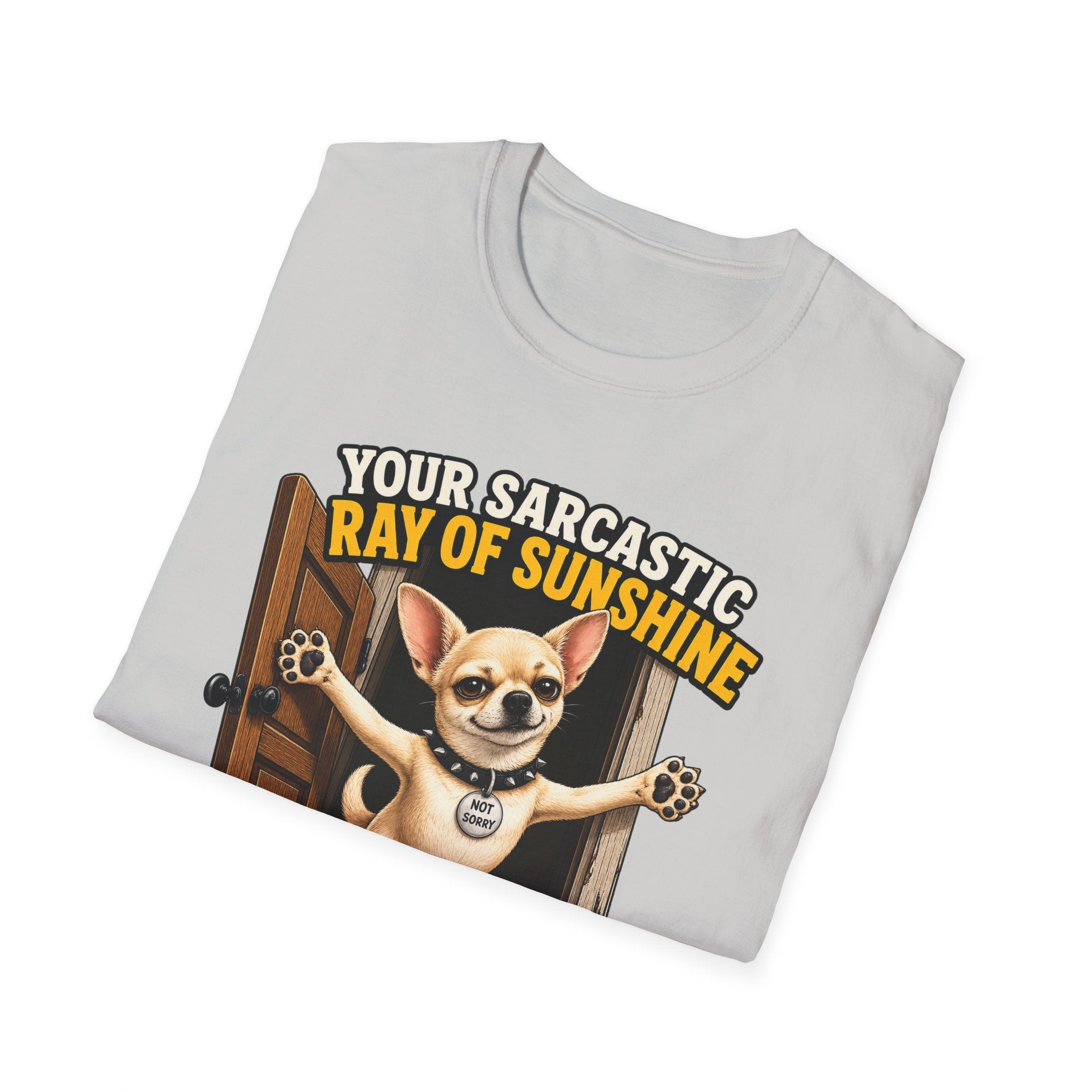 Sarcastic Ray of Sunshine T-Shirt