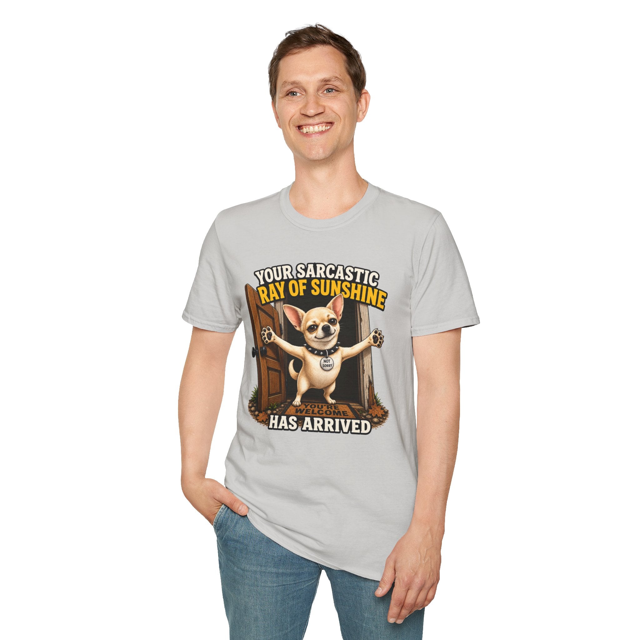 Sarcastic Ray of Sunshine T-Shirt