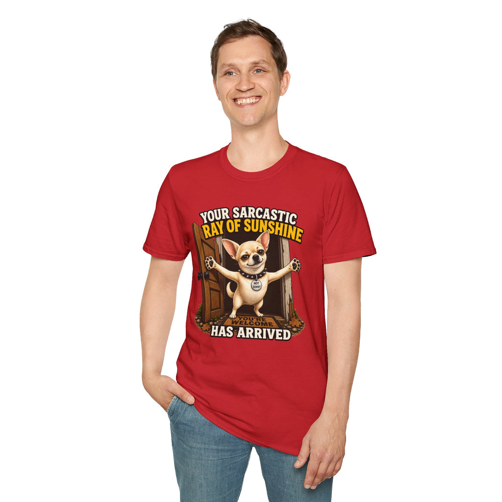 Sarcastic Ray of Sunshine T-Shirt