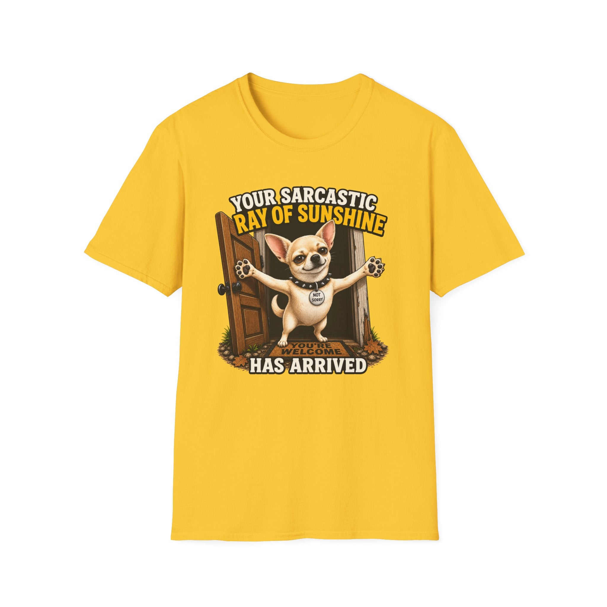 Sarcastic Ray of Sunshine T-Shirt