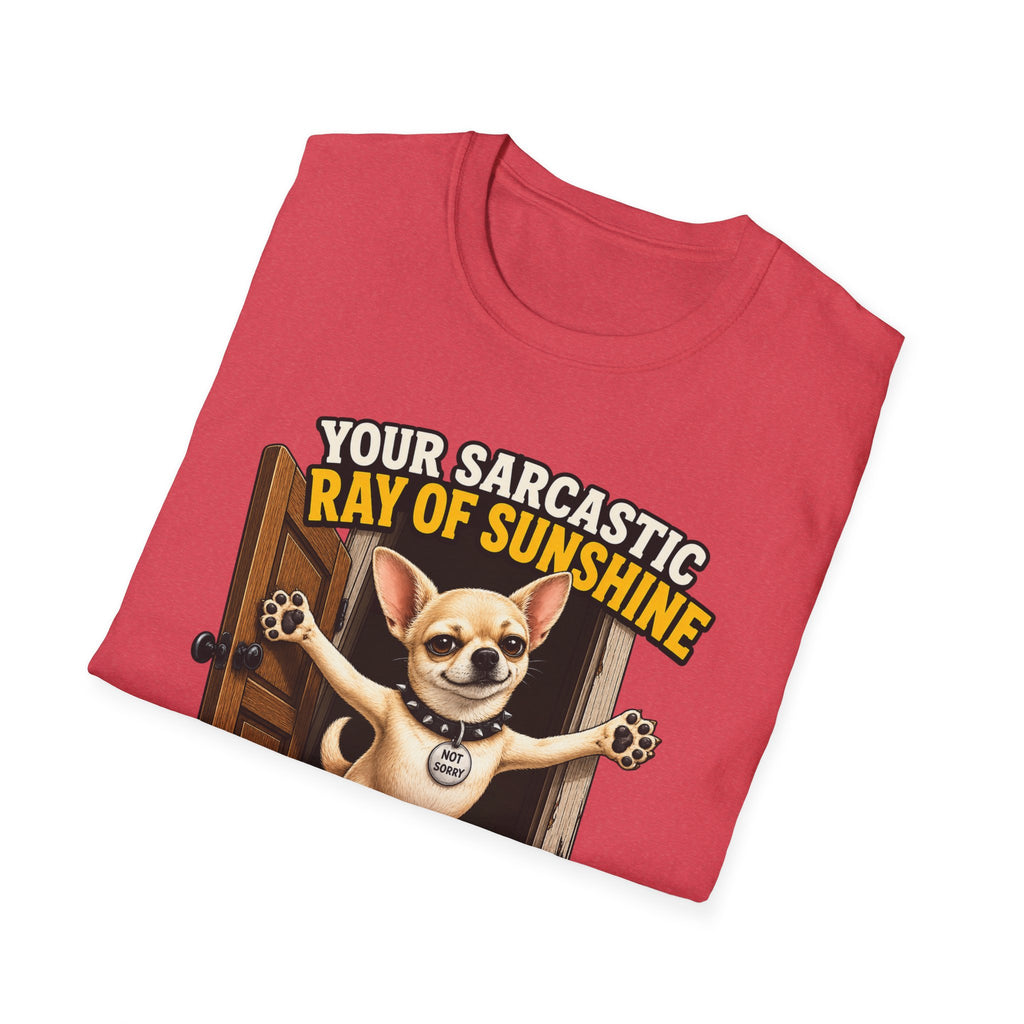 Sarcastic Ray of Sunshine T-Shirt