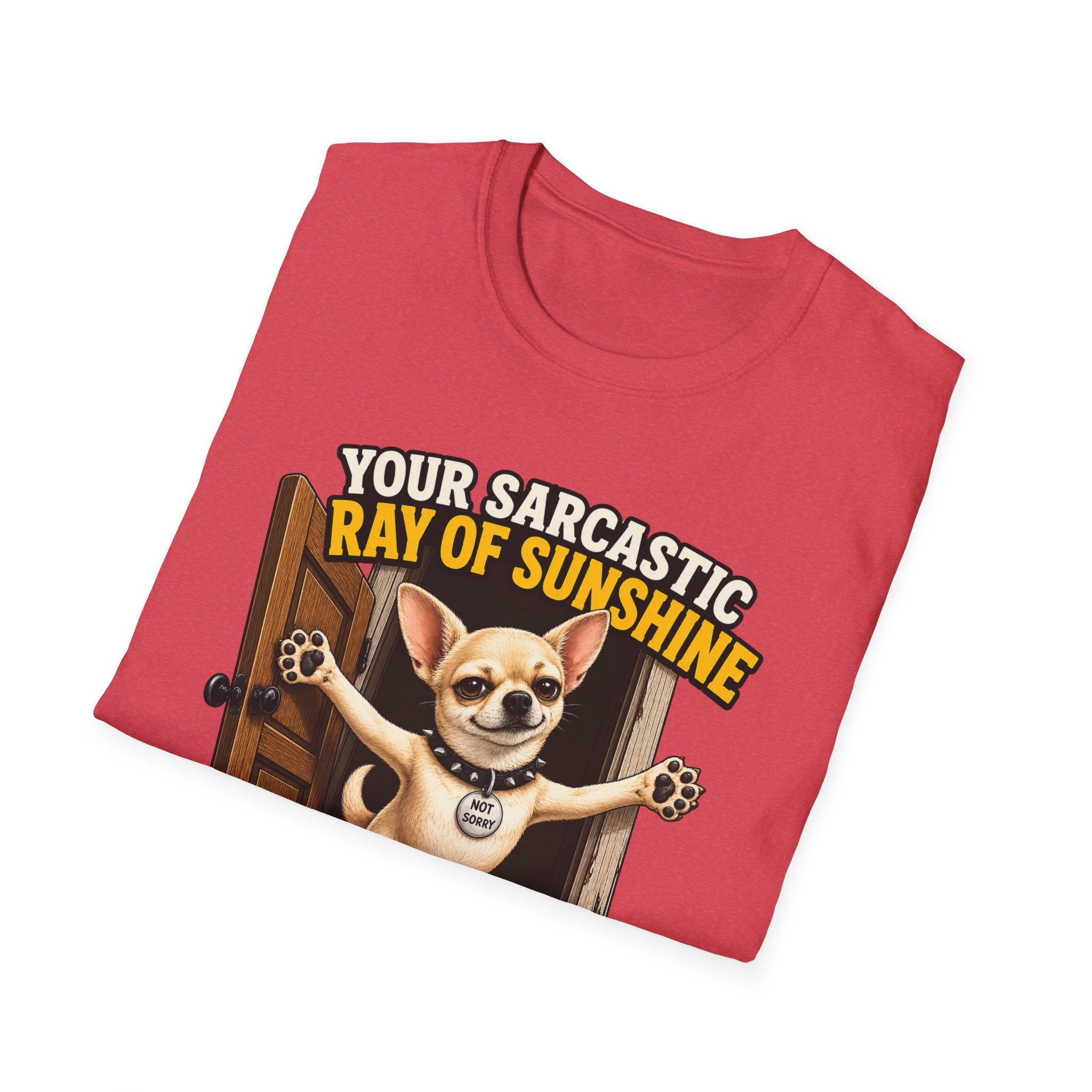 Sarcastic Ray of Sunshine T-Shirt