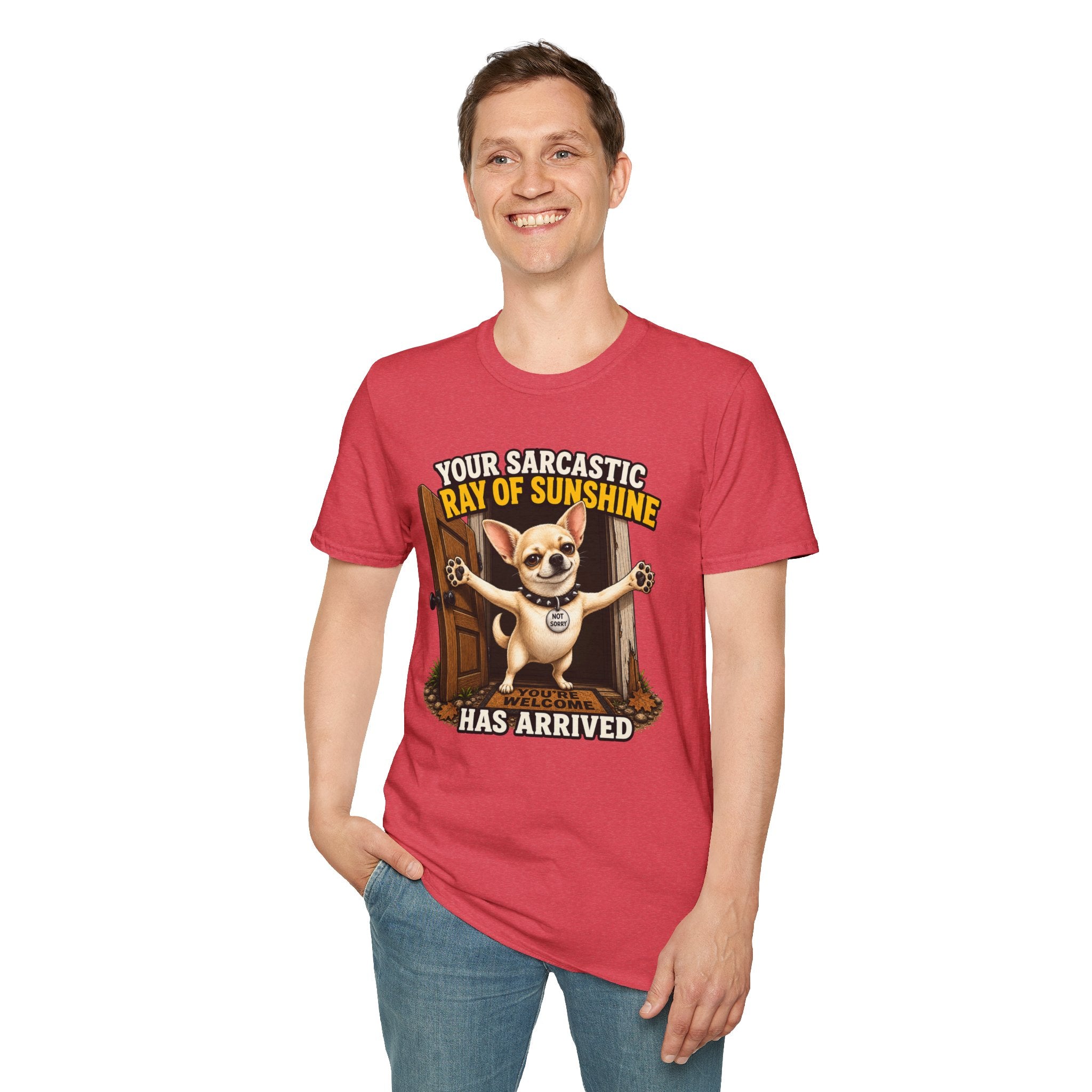 Sarcastic Ray of Sunshine T-Shirt