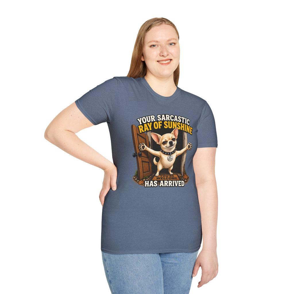 Sarcastic Ray of Sunshine T-Shirt
