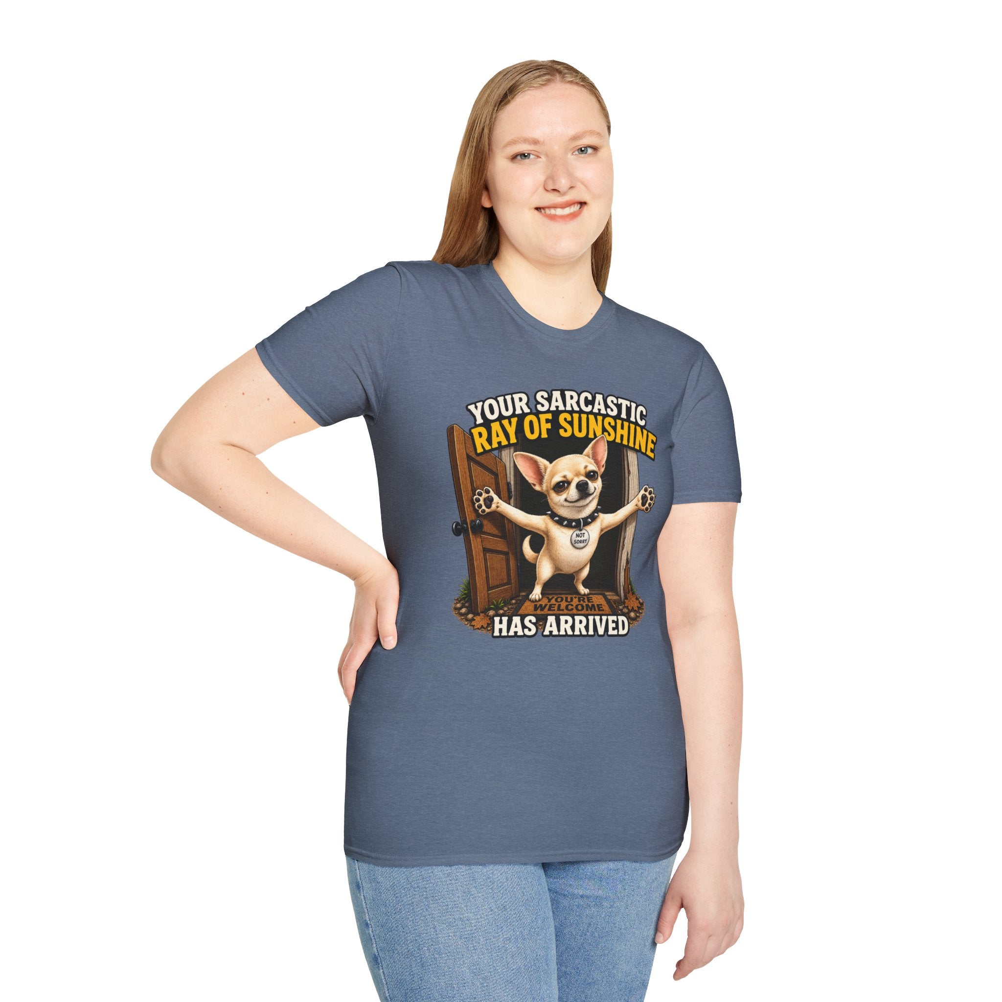 Sarcastic Ray of Sunshine T-Shirt