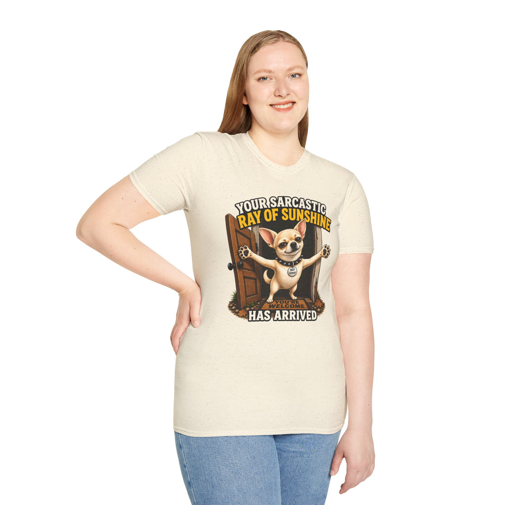 Sarcastic Ray of Sunshine T-Shirt