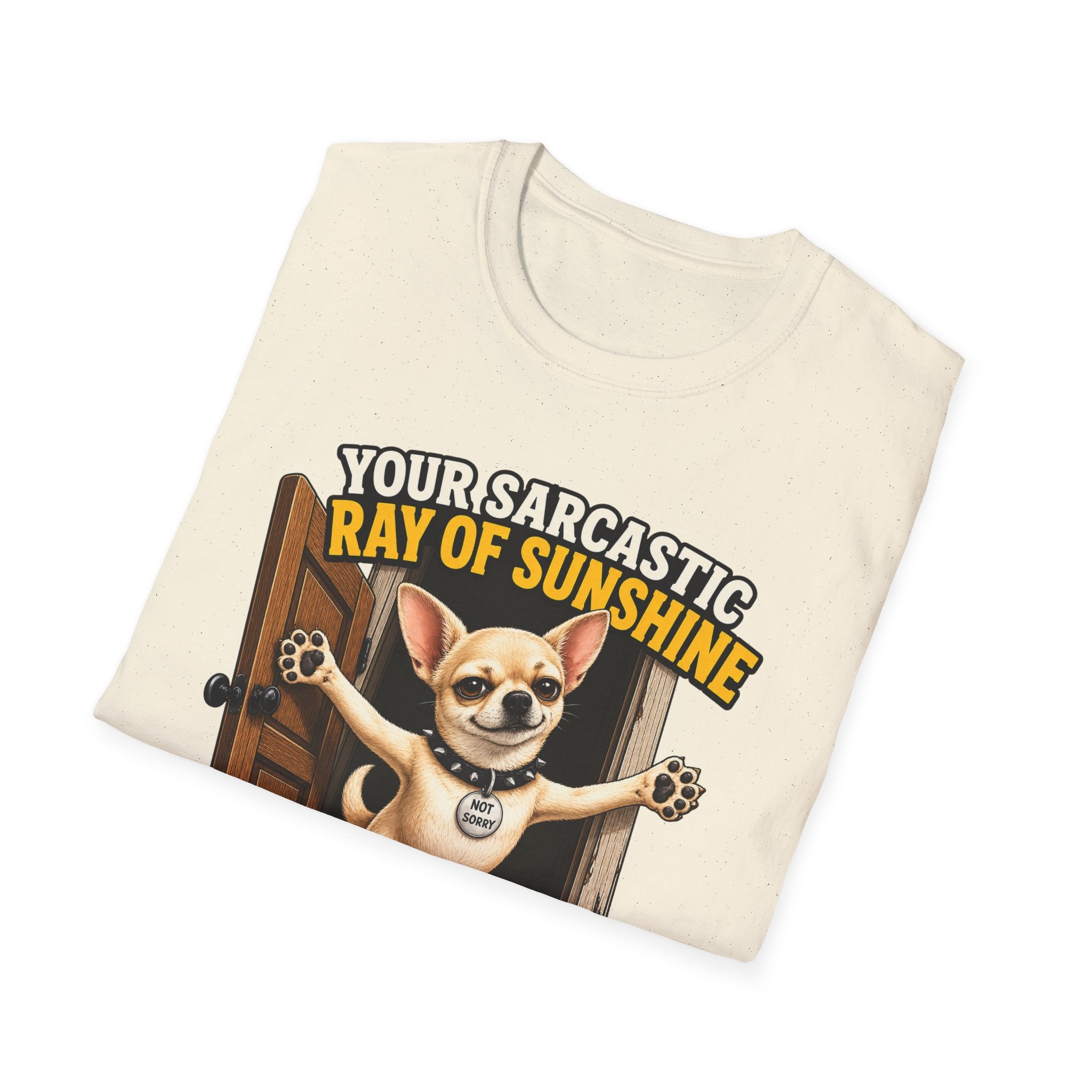 Sarcastic Ray of Sunshine T-Shirt