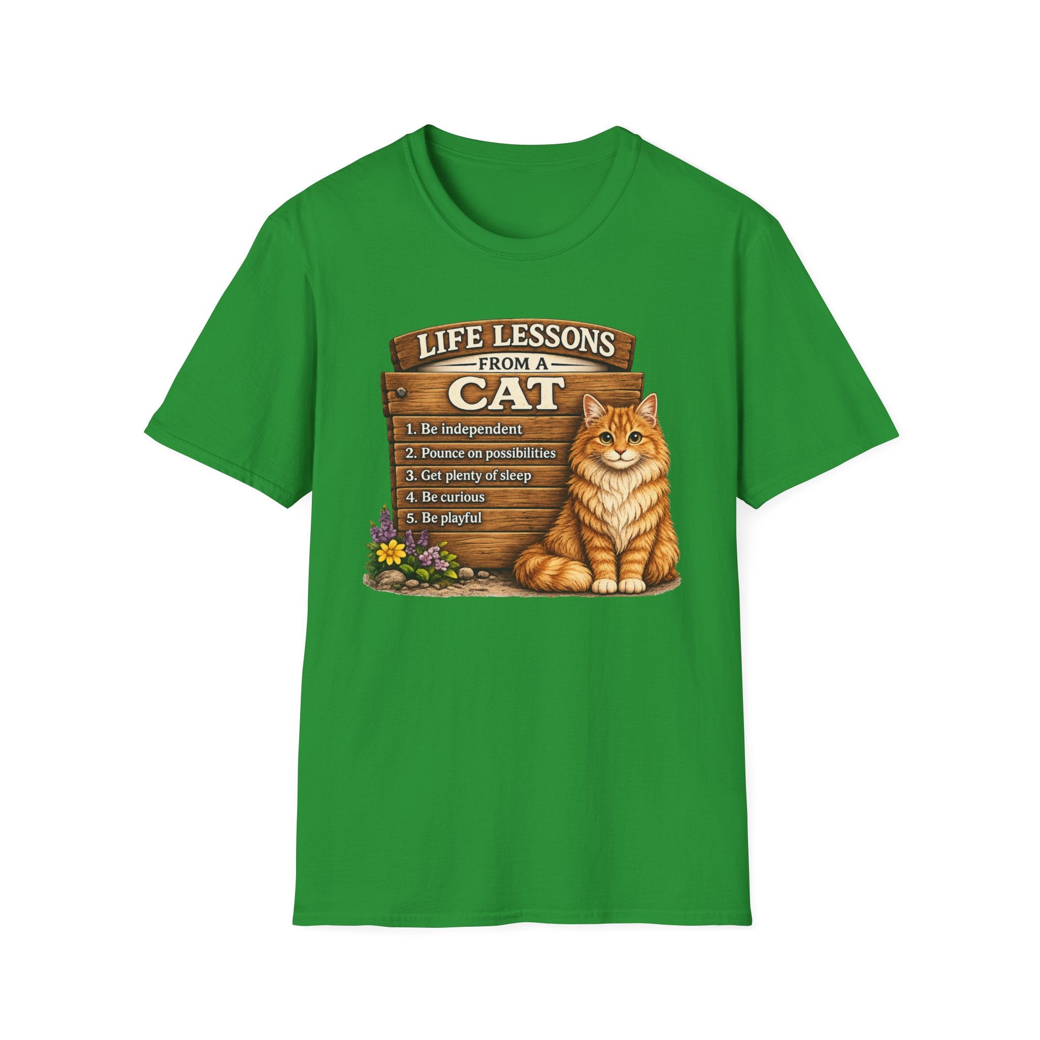 Life Lessons From a Cat T-Shirt