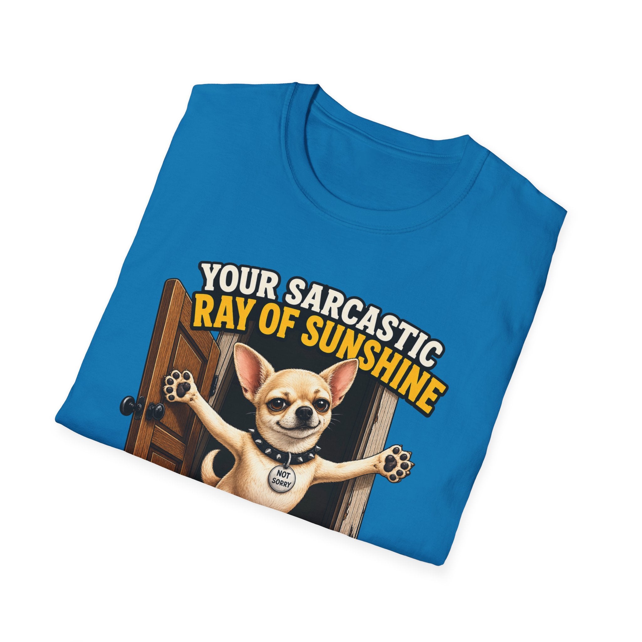 Sarcastic Ray of Sunshine T-Shirt