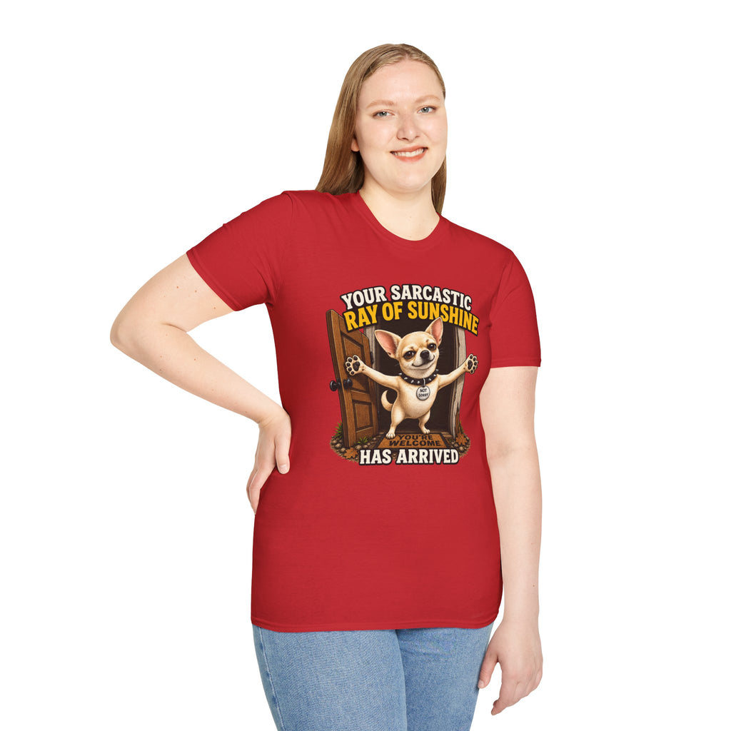 Sarcastic Ray of Sunshine T-Shirt