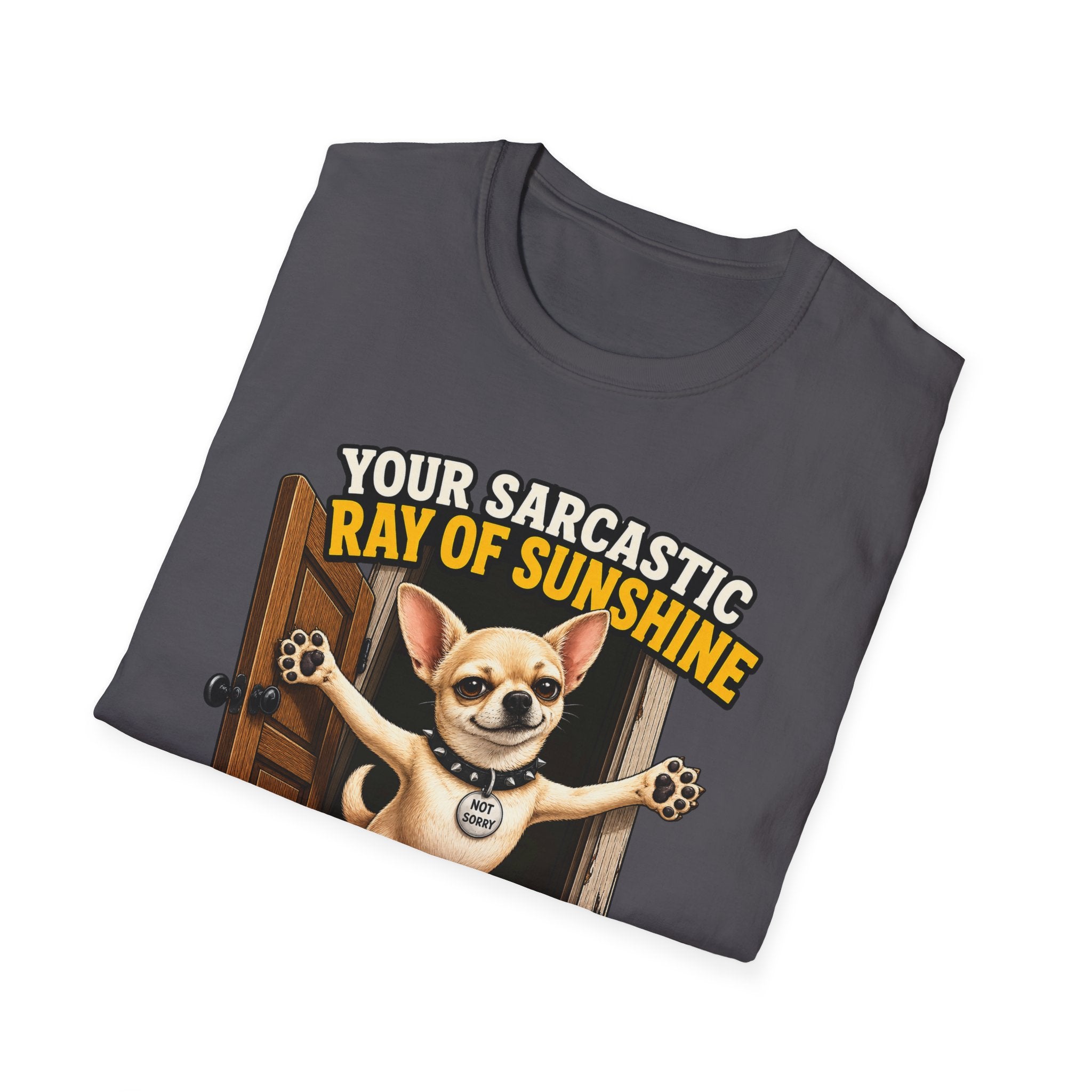 Sarcastic Ray of Sunshine T-Shirt