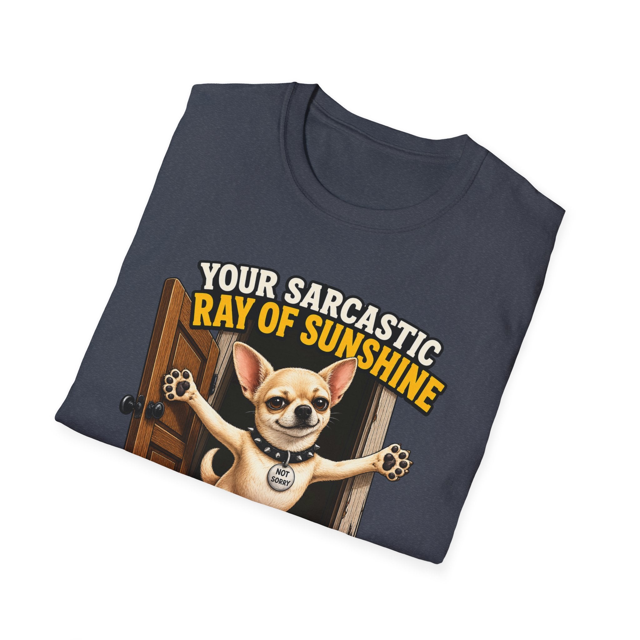Sarcastic Ray of Sunshine T-Shirt