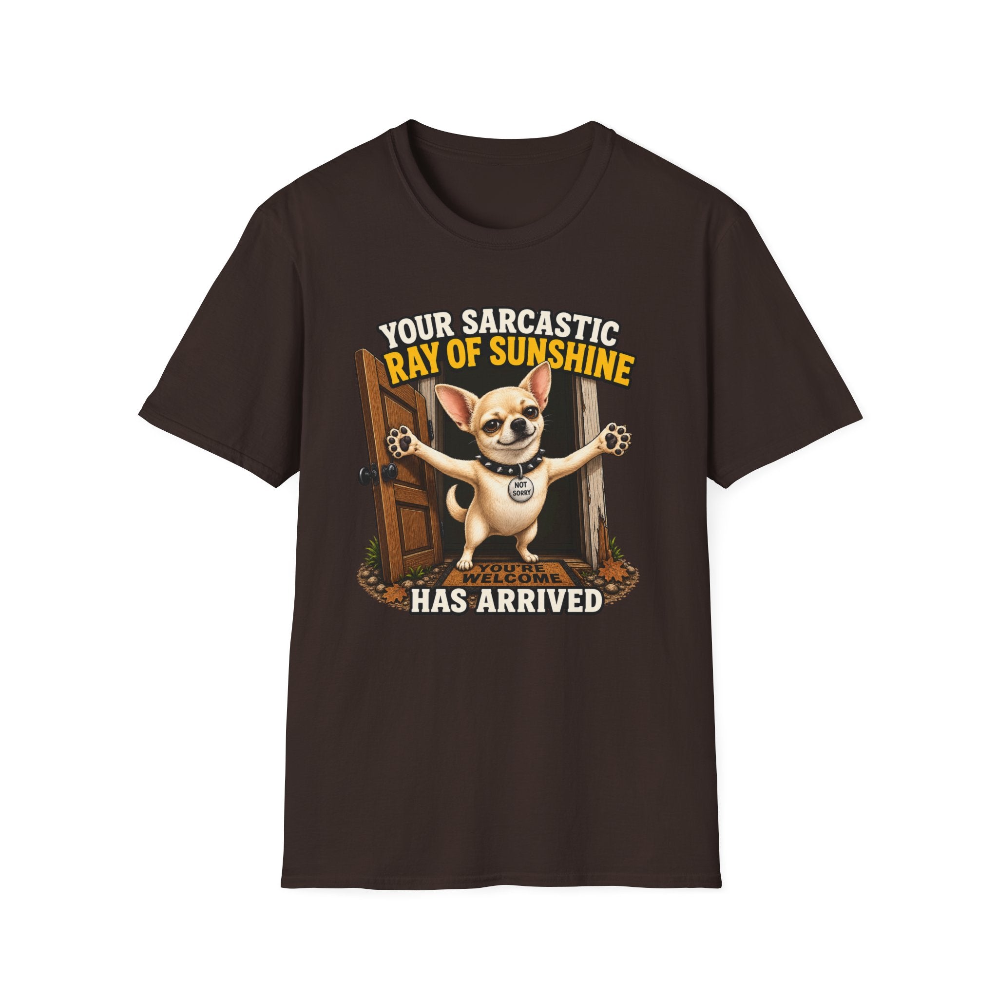 Sarcastic Ray of Sunshine T-Shirt