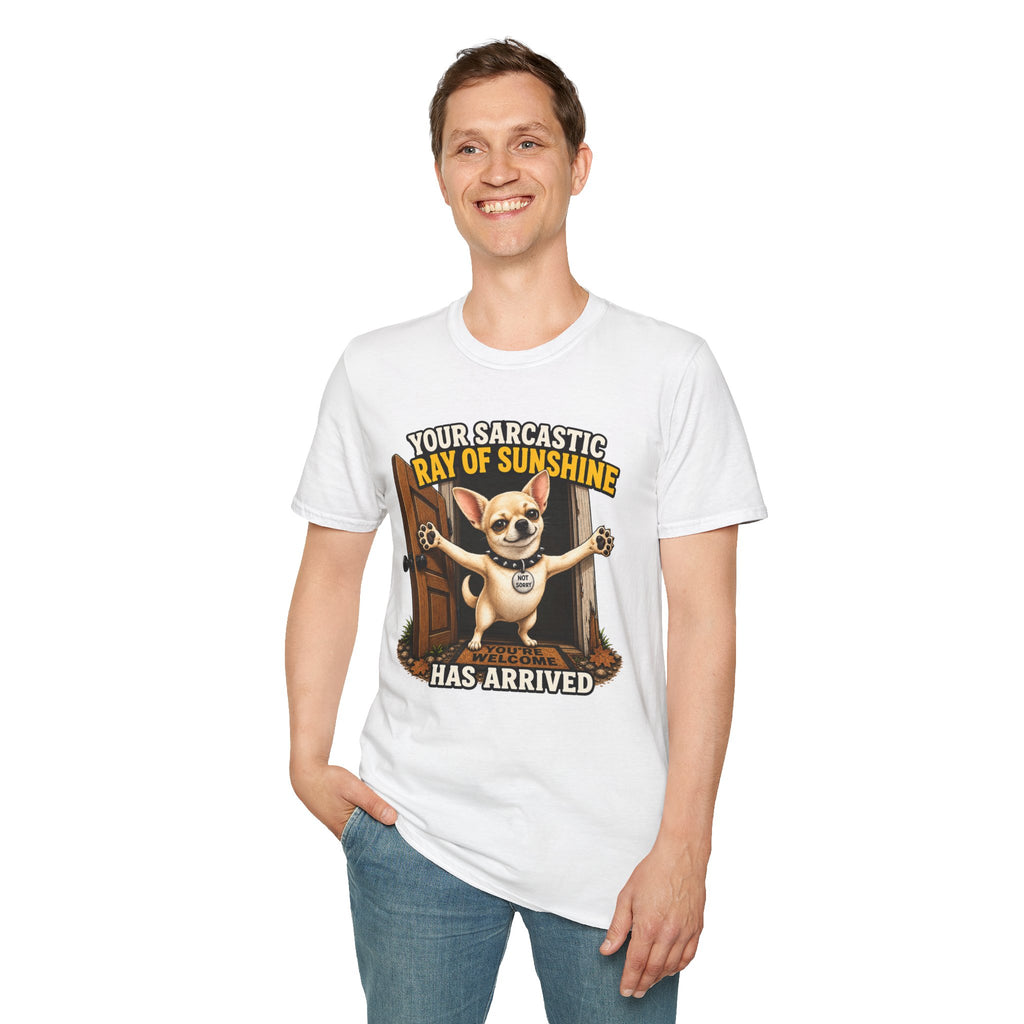 Sarcastic Ray of Sunshine T-Shirt