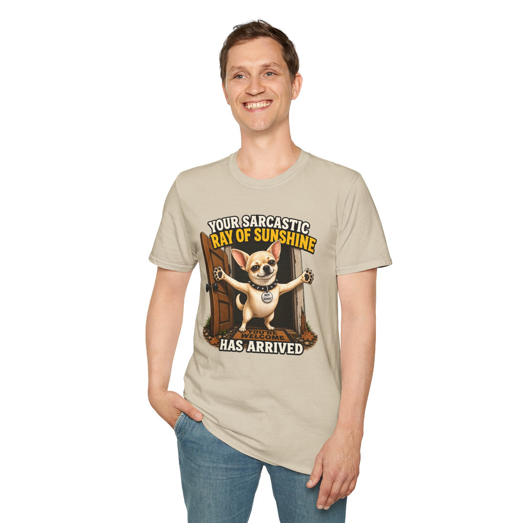 Sarcastic Ray of Sunshine T-Shirt