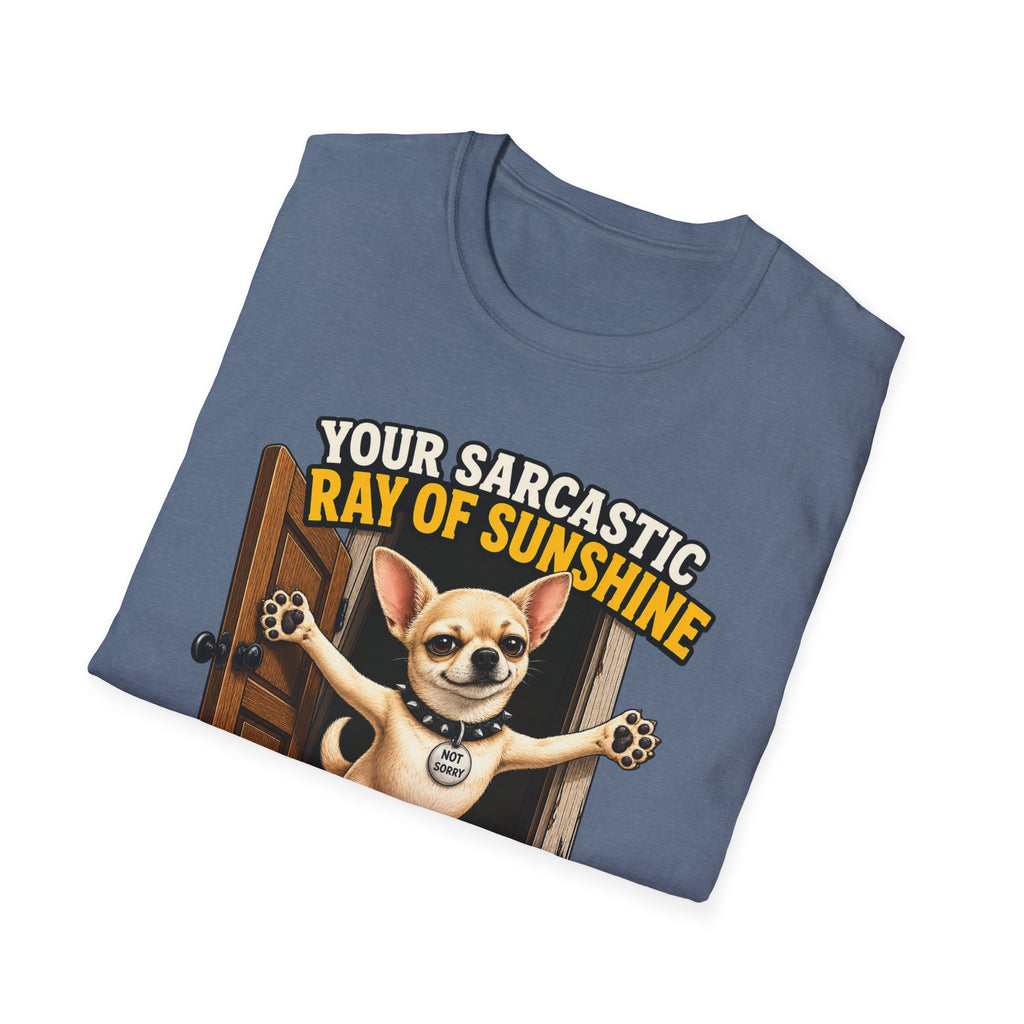 Sarcastic Ray of Sunshine T-Shirt