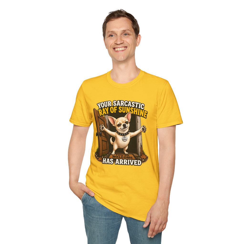 Sarcastic Ray of Sunshine T-Shirt