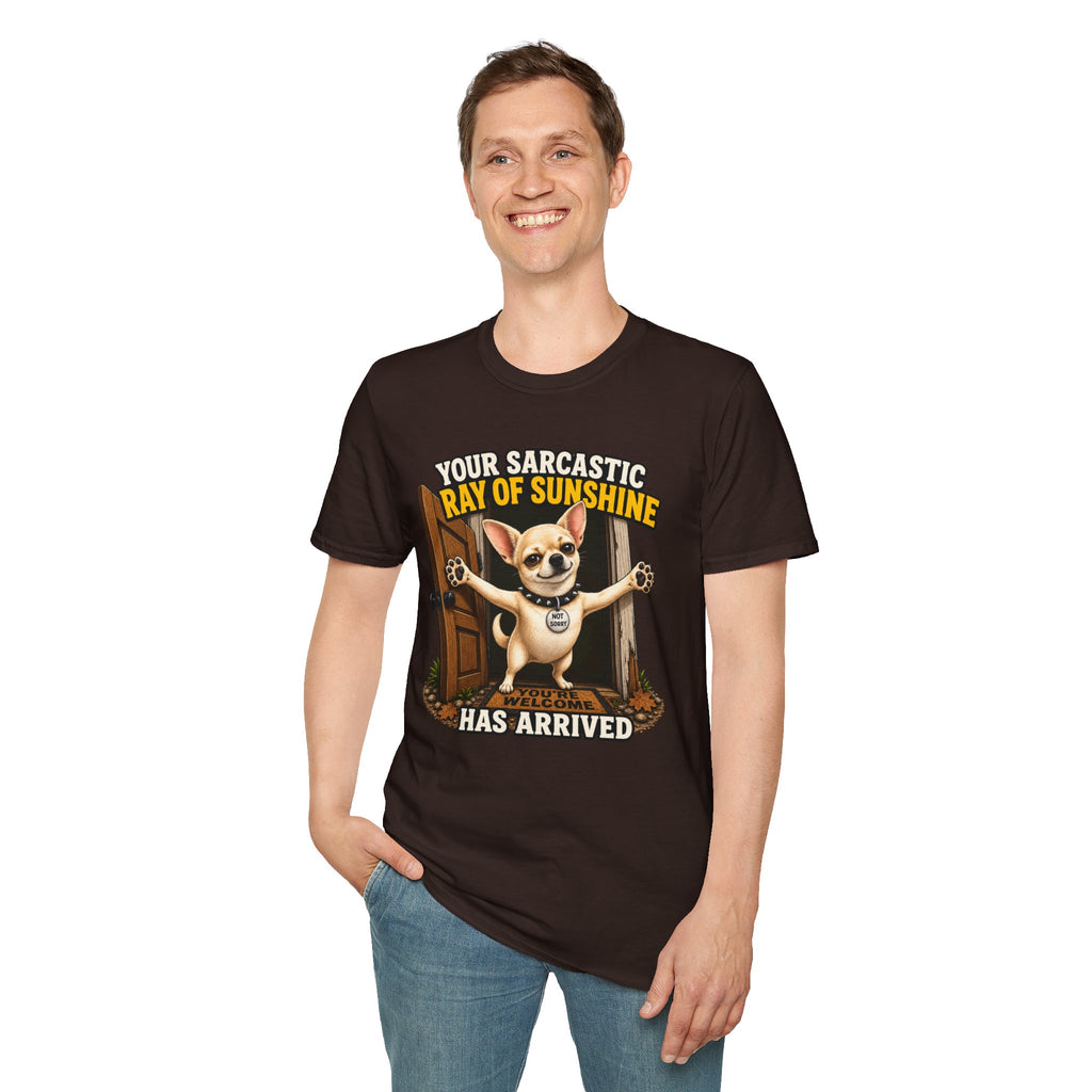 Sarcastic Ray of Sunshine T-Shirt