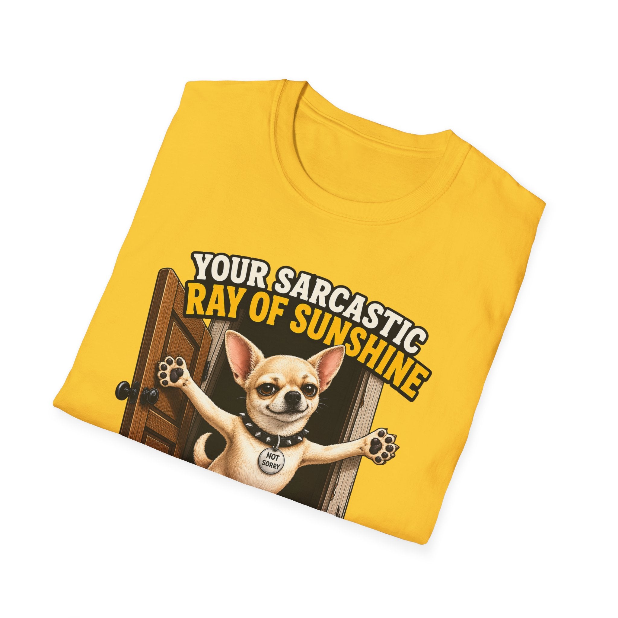 Sarcastic Ray of Sunshine T-Shirt