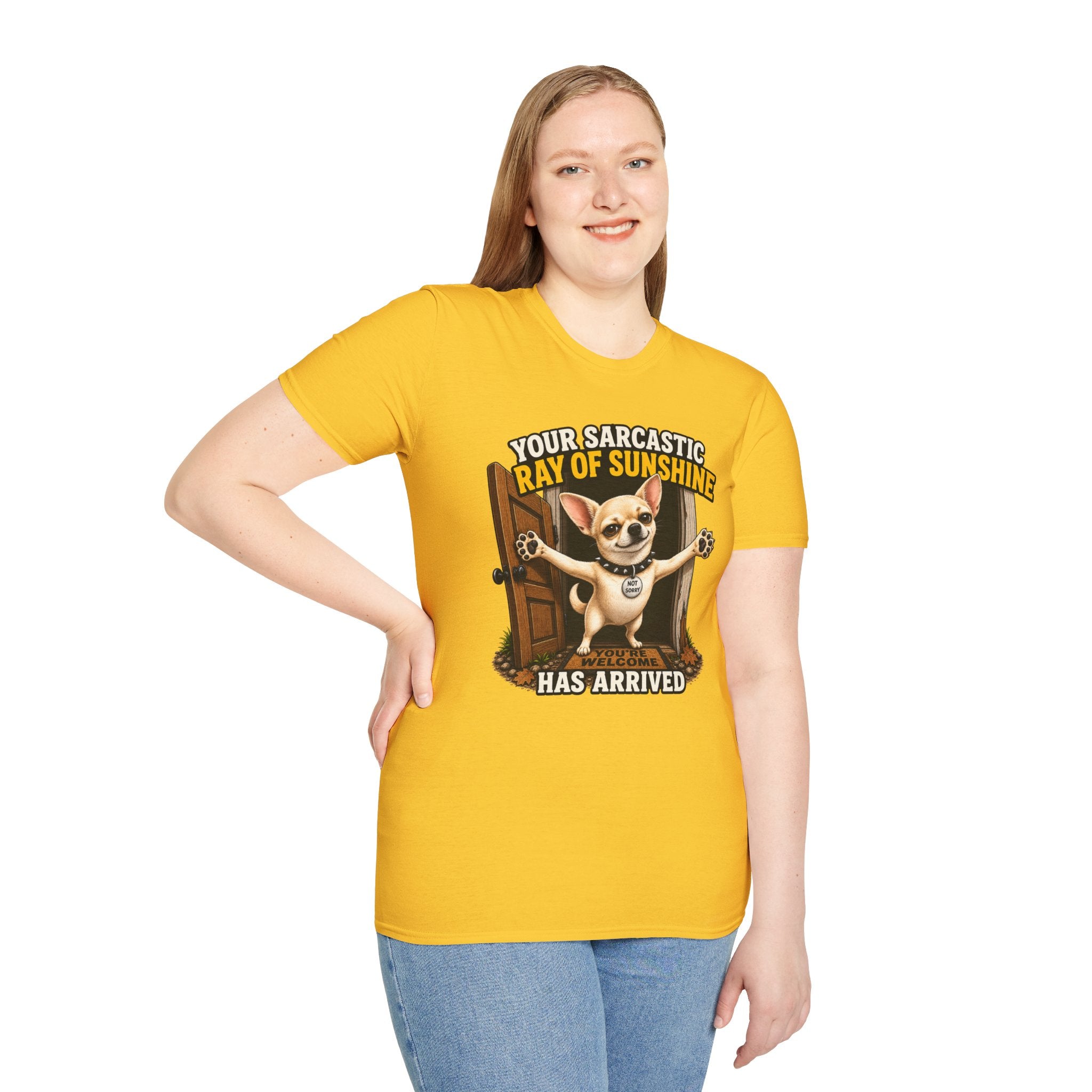 Sarcastic Ray of Sunshine T-Shirt