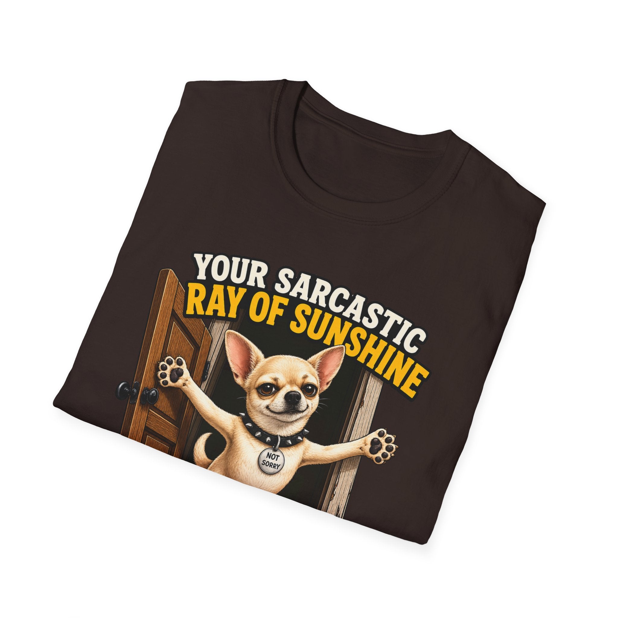 Sarcastic Ray of Sunshine T-Shirt