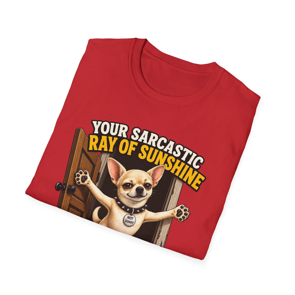 Sarcastic Ray of Sunshine T-Shirt