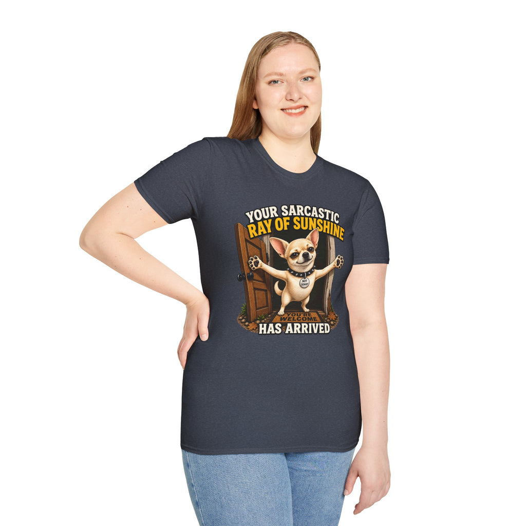 Sarcastic Ray of Sunshine T-Shirt