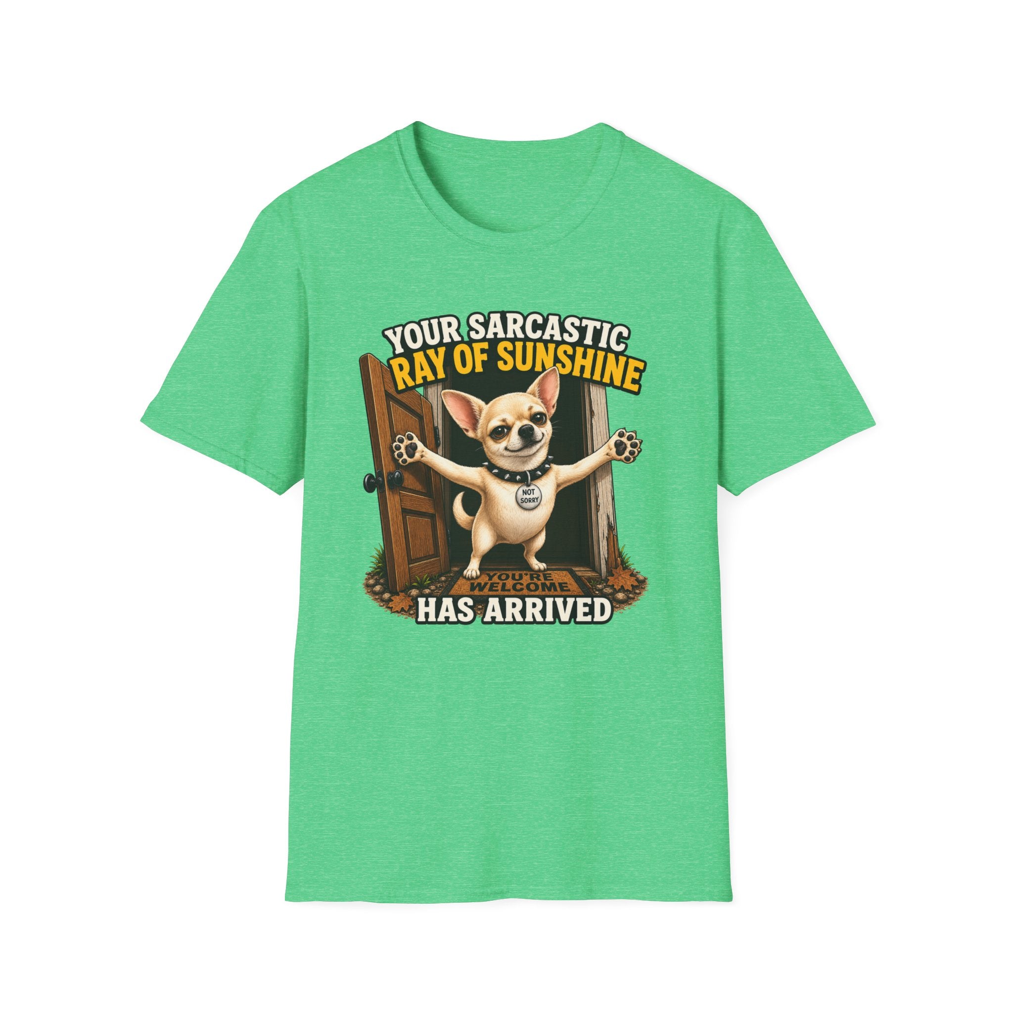 Sarcastic Ray of Sunshine T-Shirt