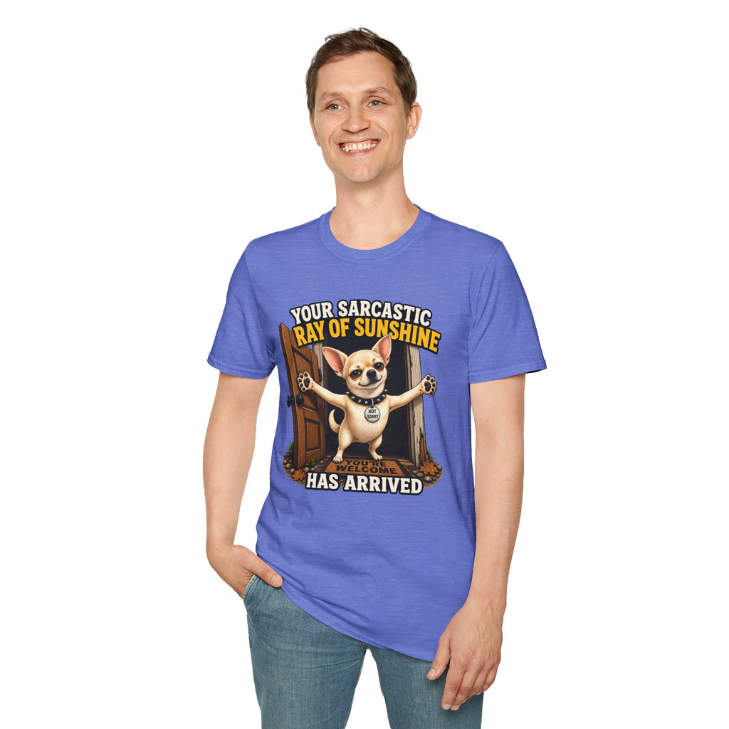 Sarcastic Ray of Sunshine T-Shirt